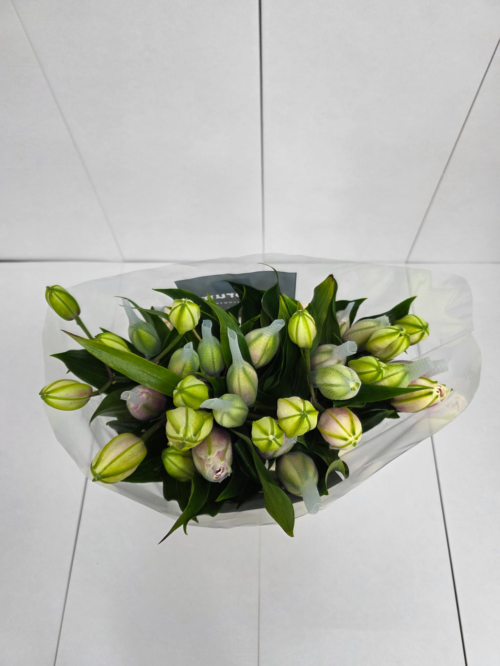 Farm Fresh Lilium Oriental Roselily Aisha White(Double 3+)(Bunch of 10stems,Length 80cm)