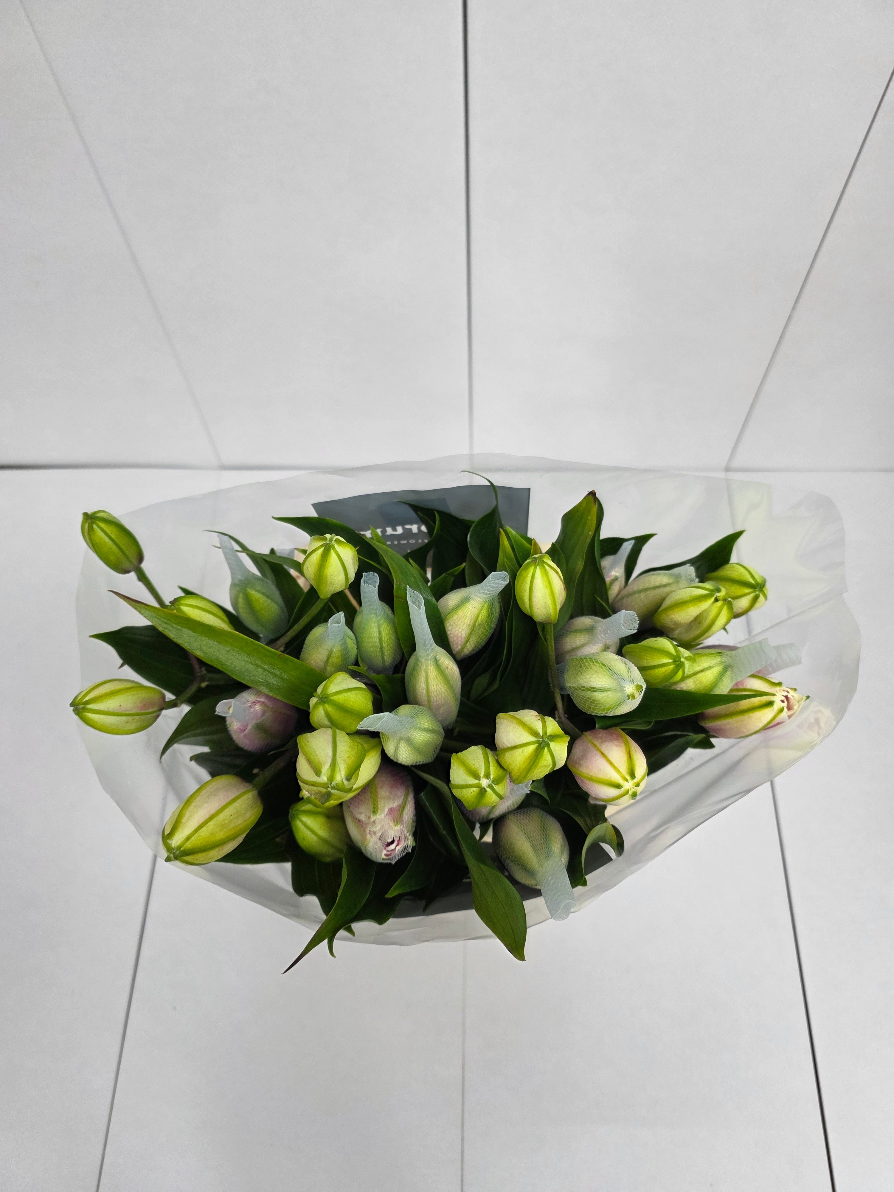 Farm Fresh Lilium Oriental Roselily Aisha White(Double 3+)(Bunch of 10stems,Length 80cm)