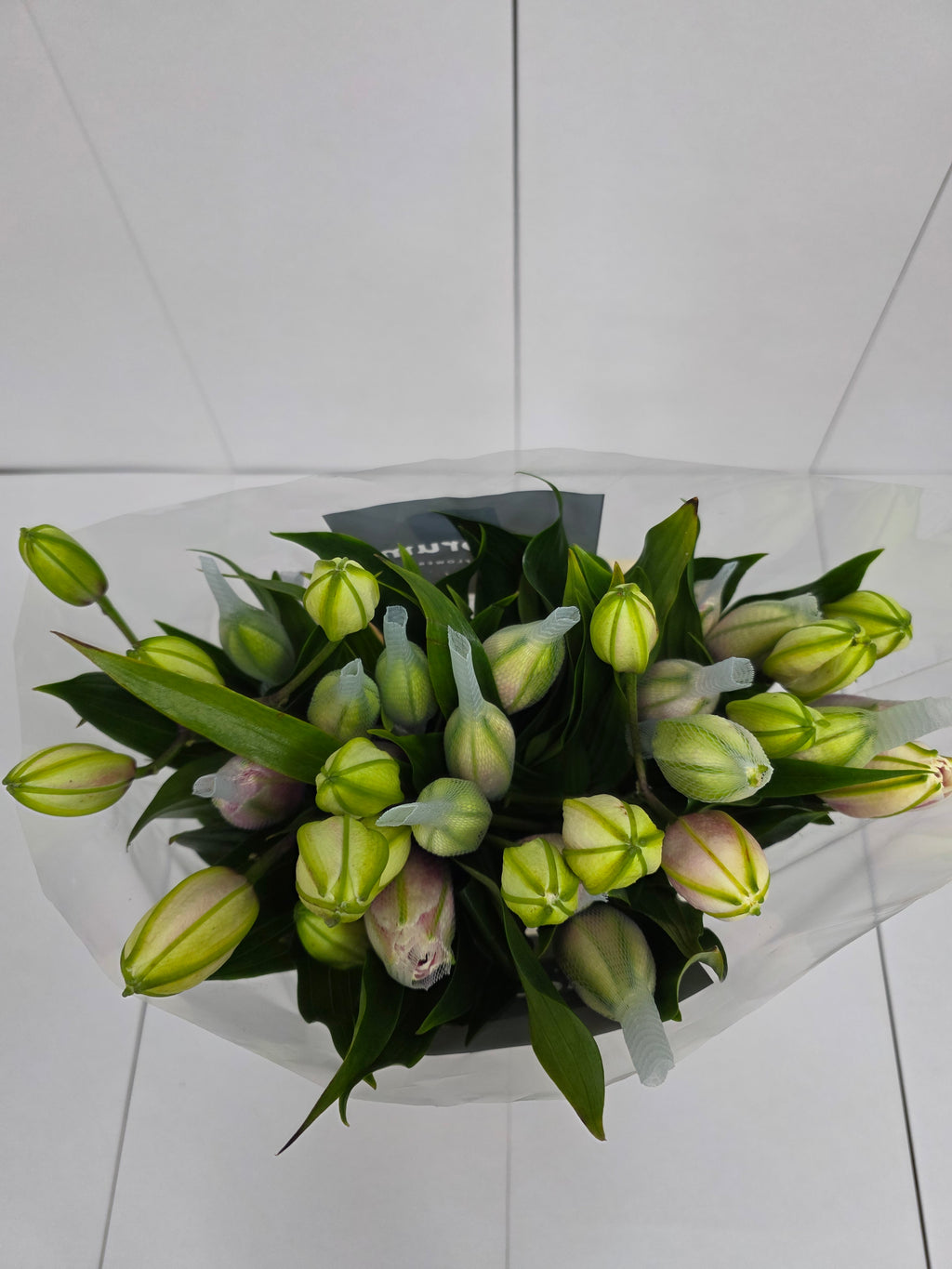 Farm Fresh Lilium Oriental Roselily Voila (Double) 3+(Bunch of 10stems,Length 80cm)
