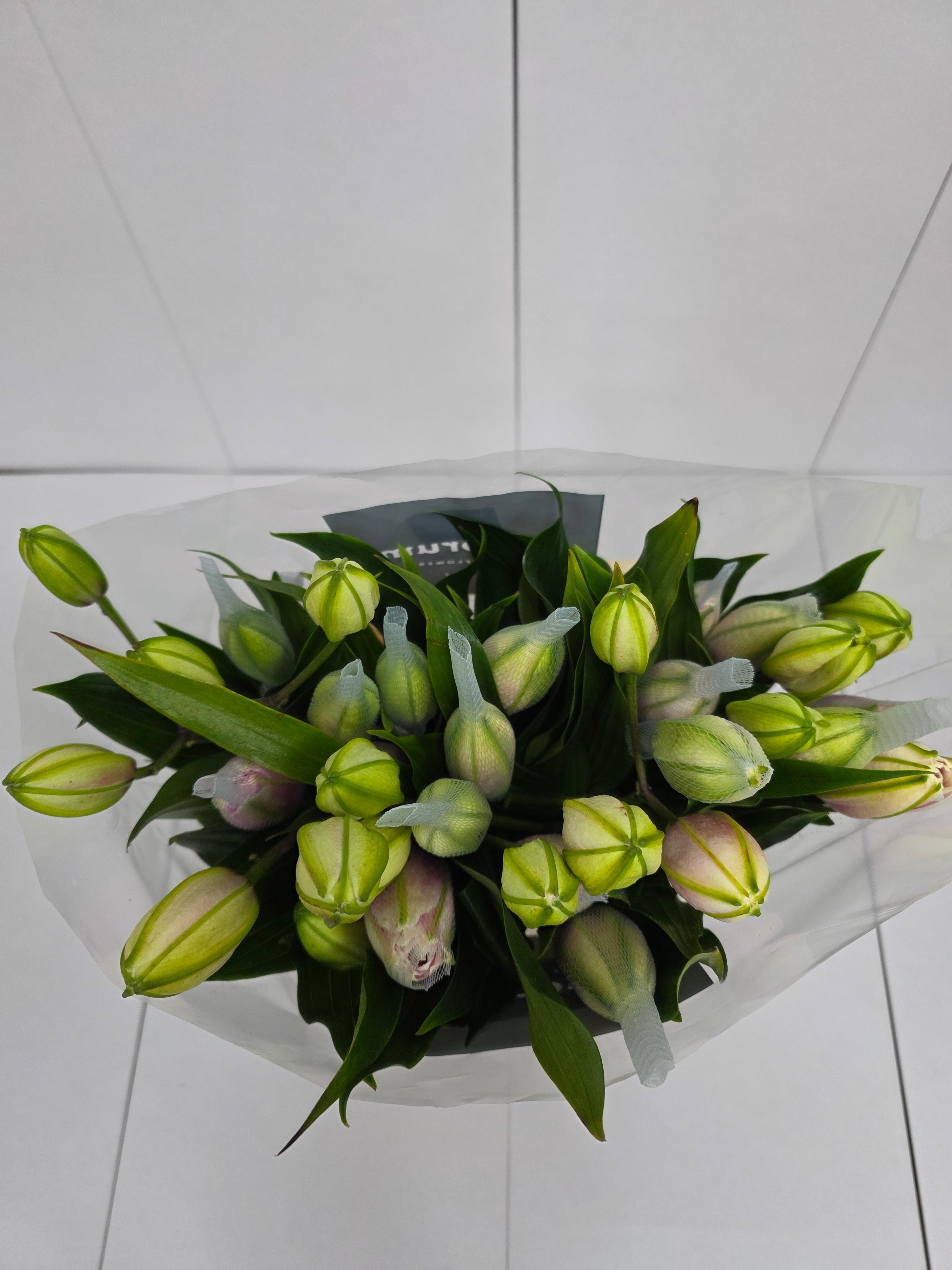 Farm Fresh Lilium Oriental Roselily Aisha White(Double 3+)(Bunch of 10stems,Length 80cm)