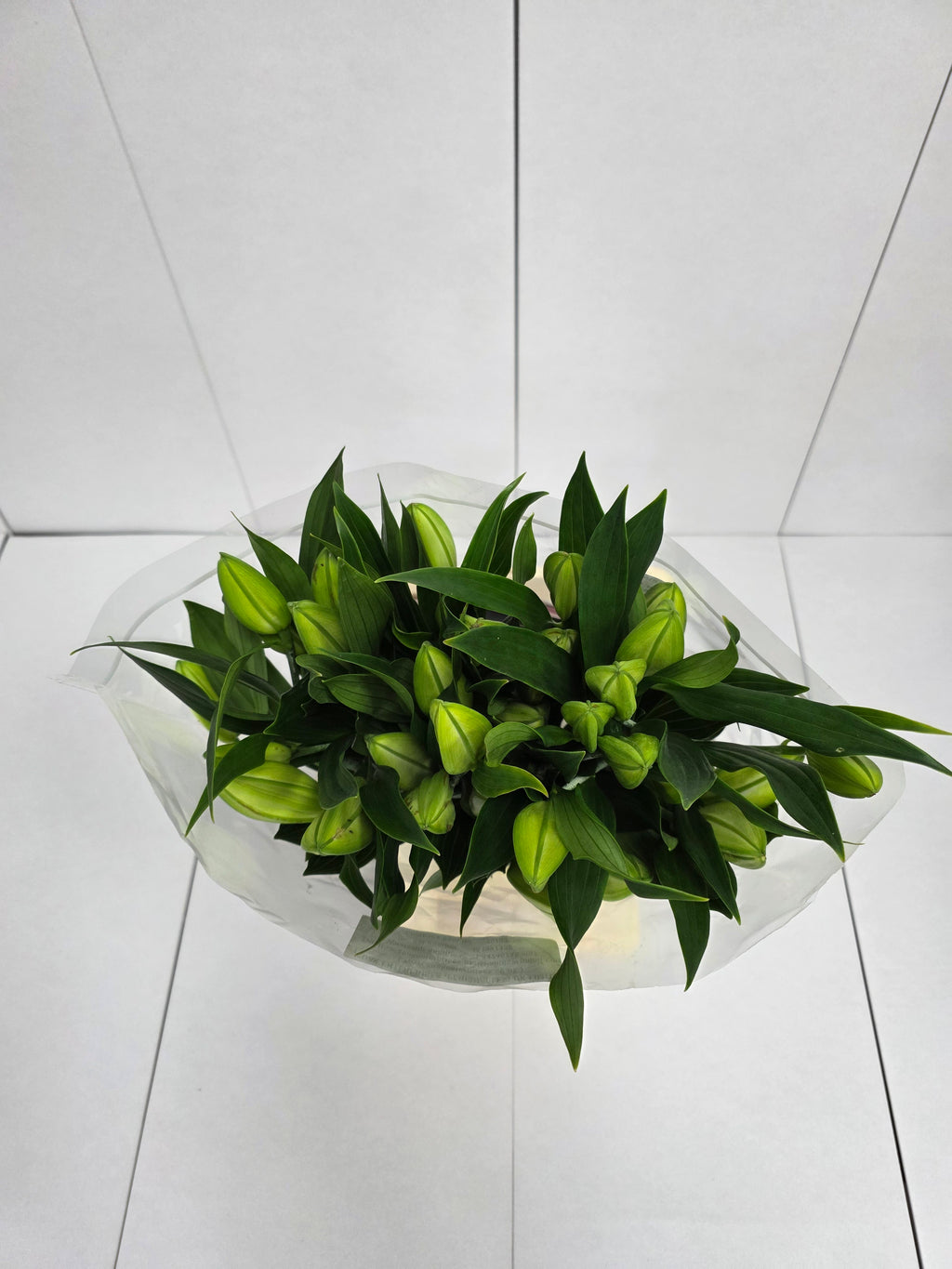 Farm Fresh Lilium Oriental Santander 3+(Bunch of 10stems,Length 80cm)