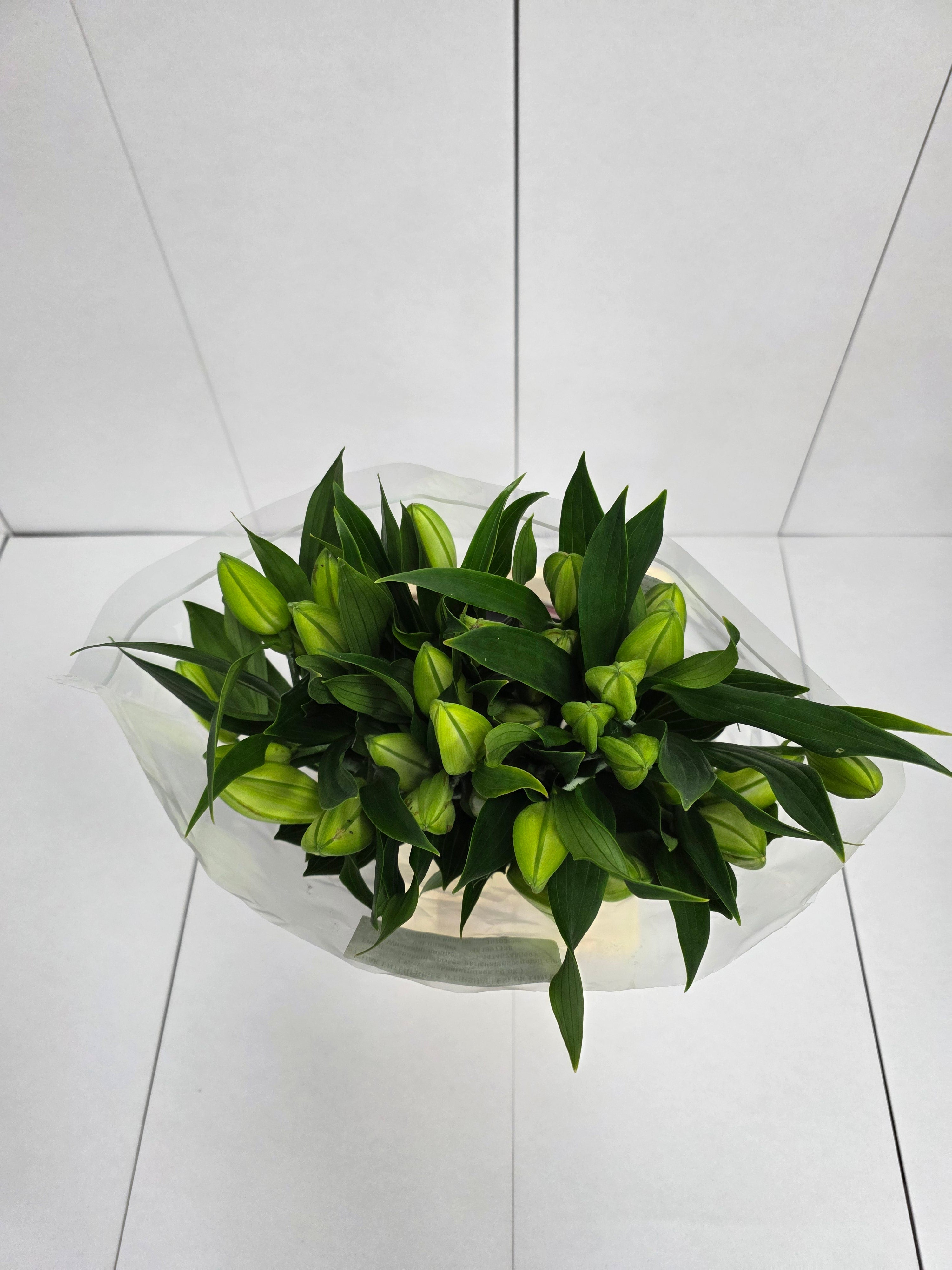 Farm Fresh Lilium Oriental Santander 3+(Bunch of 10stems,Length 80cm)