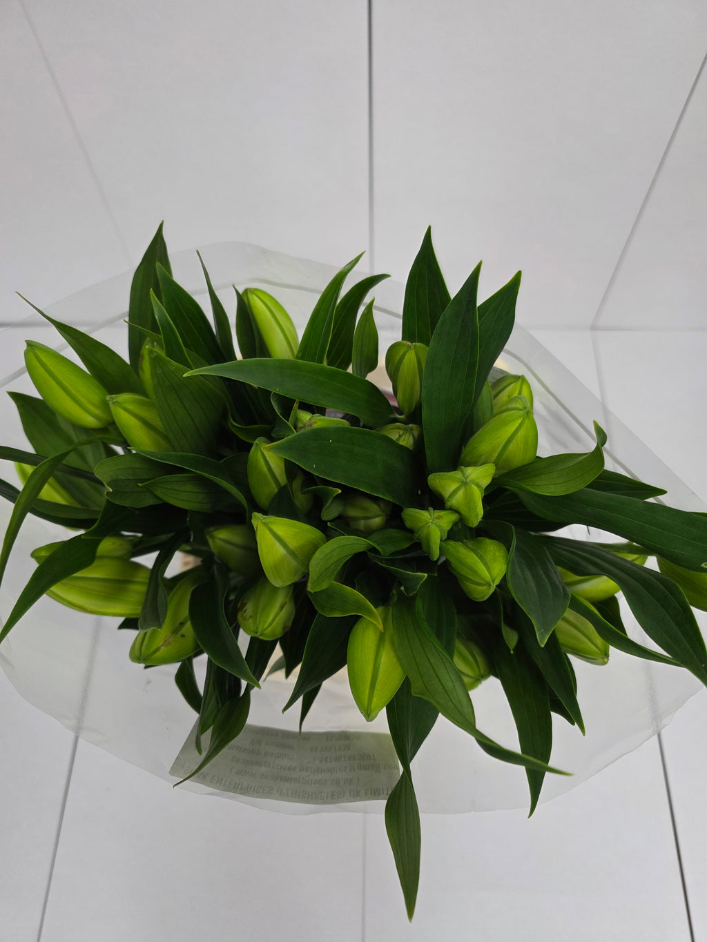Farm Fresh Lilium Oriental Santander 3+(Bunch of 10stems,Length 80cm)