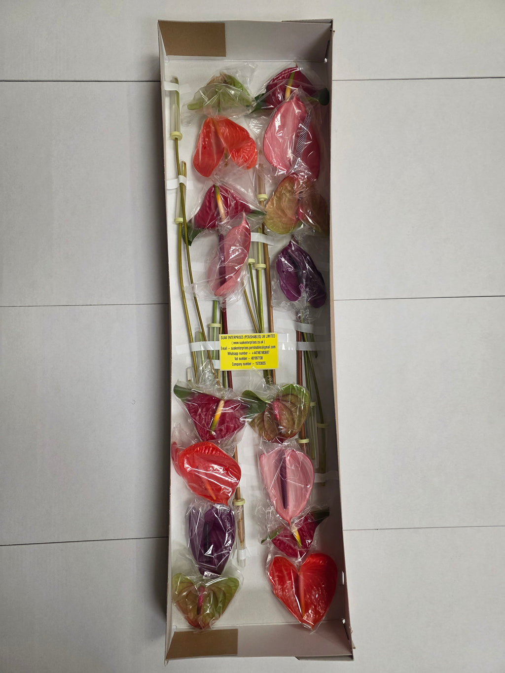 Anthurium Mixed (Bunch of 16stems)