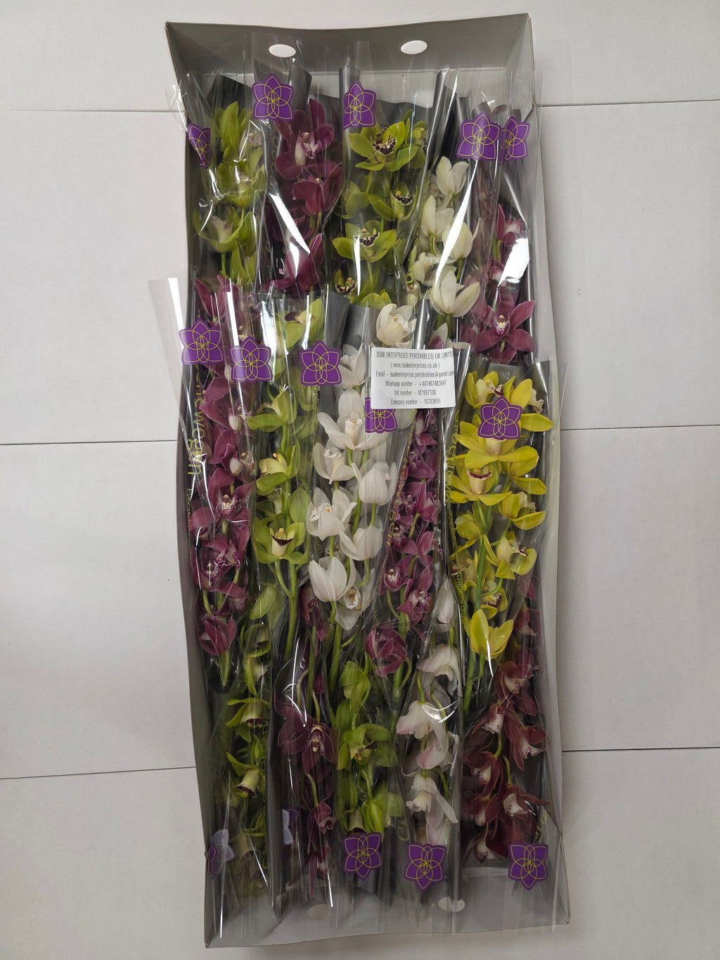 Farm Fresh Orchid/Cymbidium Mini Gemengd By Box ( Box of 15 Stems, Length -50cm )