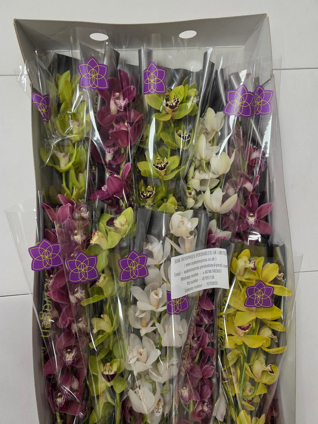 Farm Fresh Orchid/Cymbidium Mini Gemengd By Box ( Box of 15 Stems, Length -50cm )