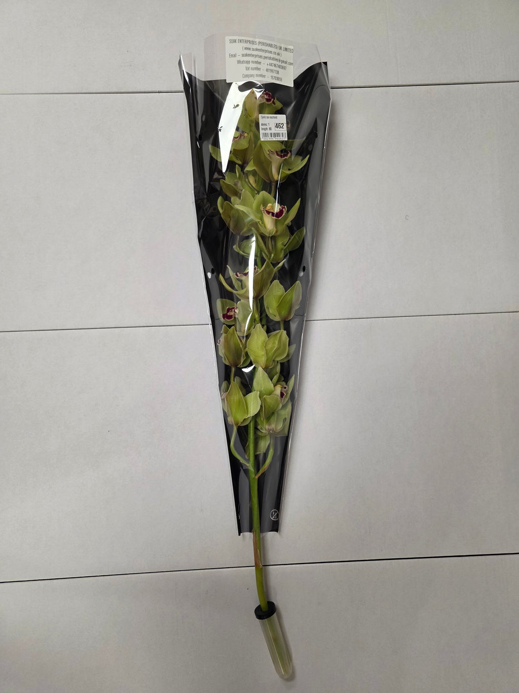 Farm Fresh Orchid/Cymbidium Tak Machteld (Bunch of 1 stems, Length 80cm)