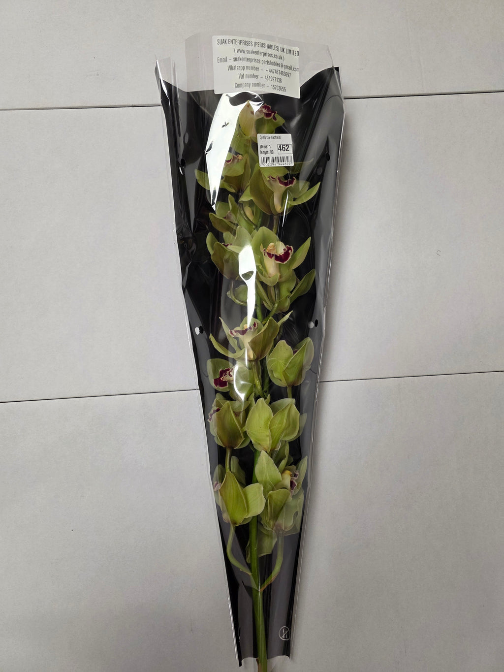 Farm Fresh Orchid/Cymbidium Tak Machteld (Bunch of 1 stems, Length 80cm)