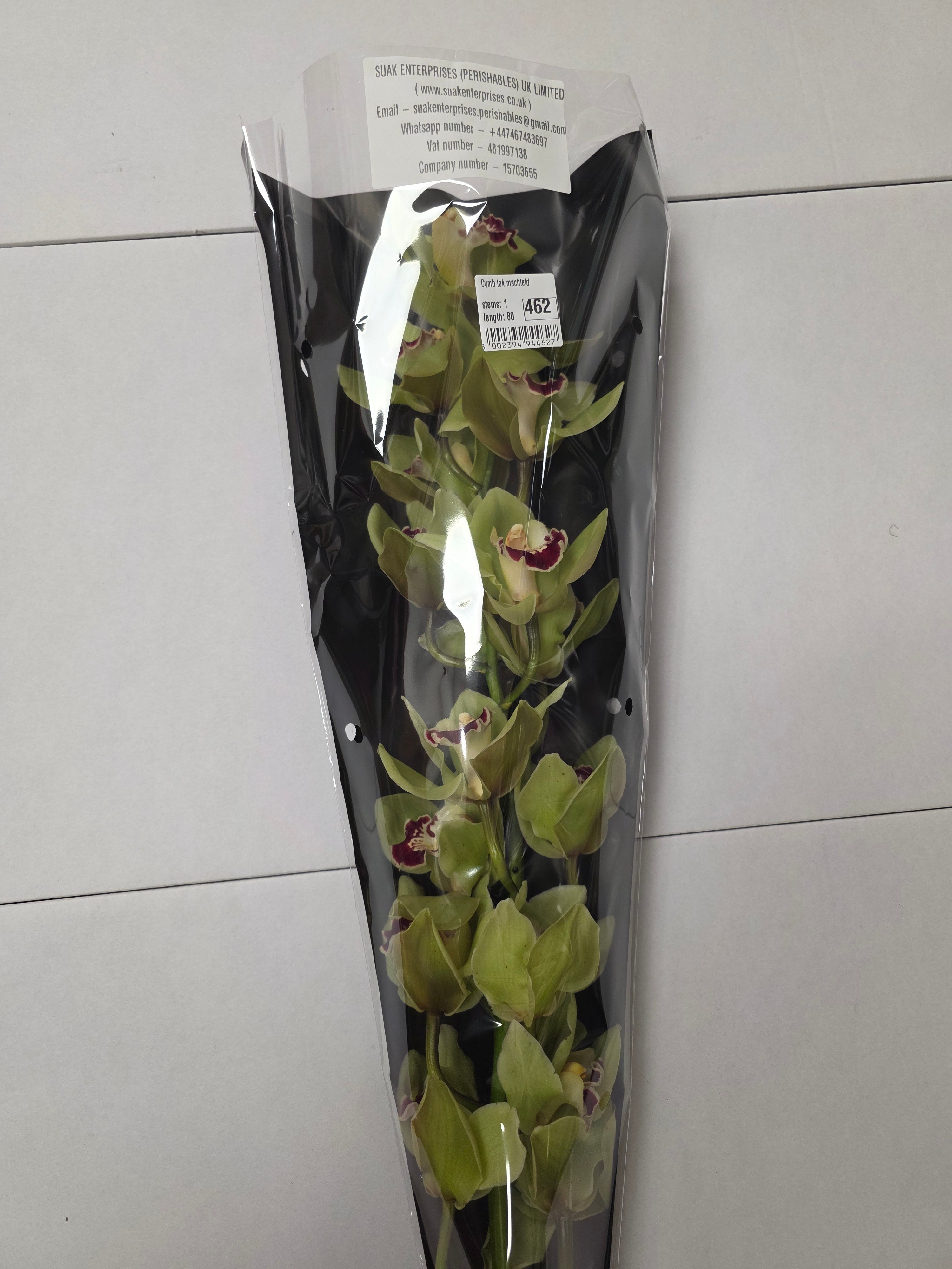 Farm Fresh Orchid/Cymbidium Tak Machteld (Bunch of 1 stems, Length 80cm)