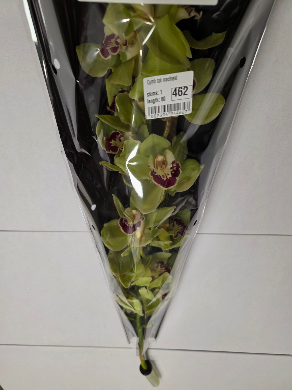 Farm Fresh Orchid/Cymbidium Tak Machteld (Bunch of 1 stems, Length 80cm)