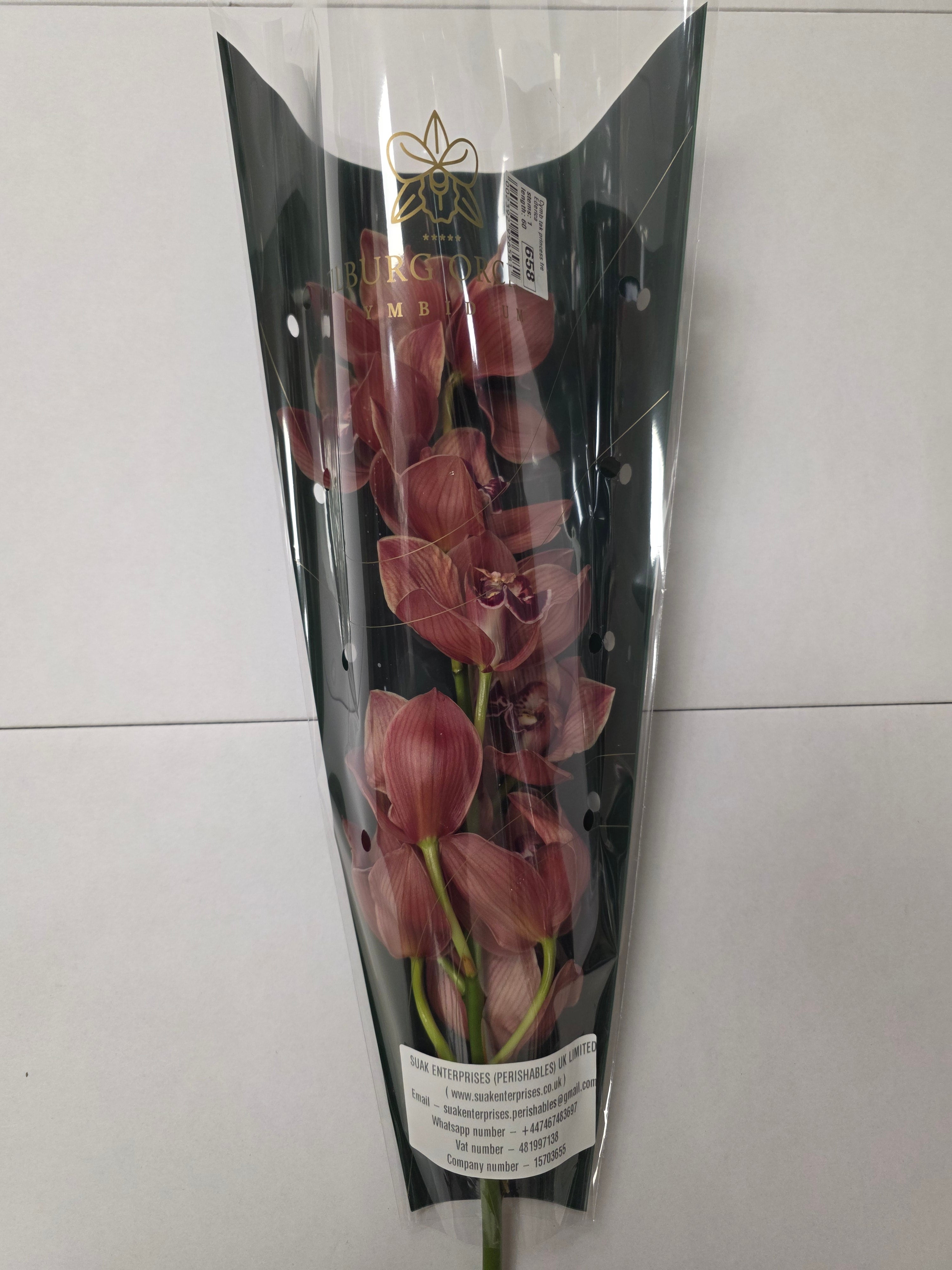 Farm Fresh Orchid/Cymbidium Tak Princess Frederica (Bunch of 1 stems, Length 60cm)