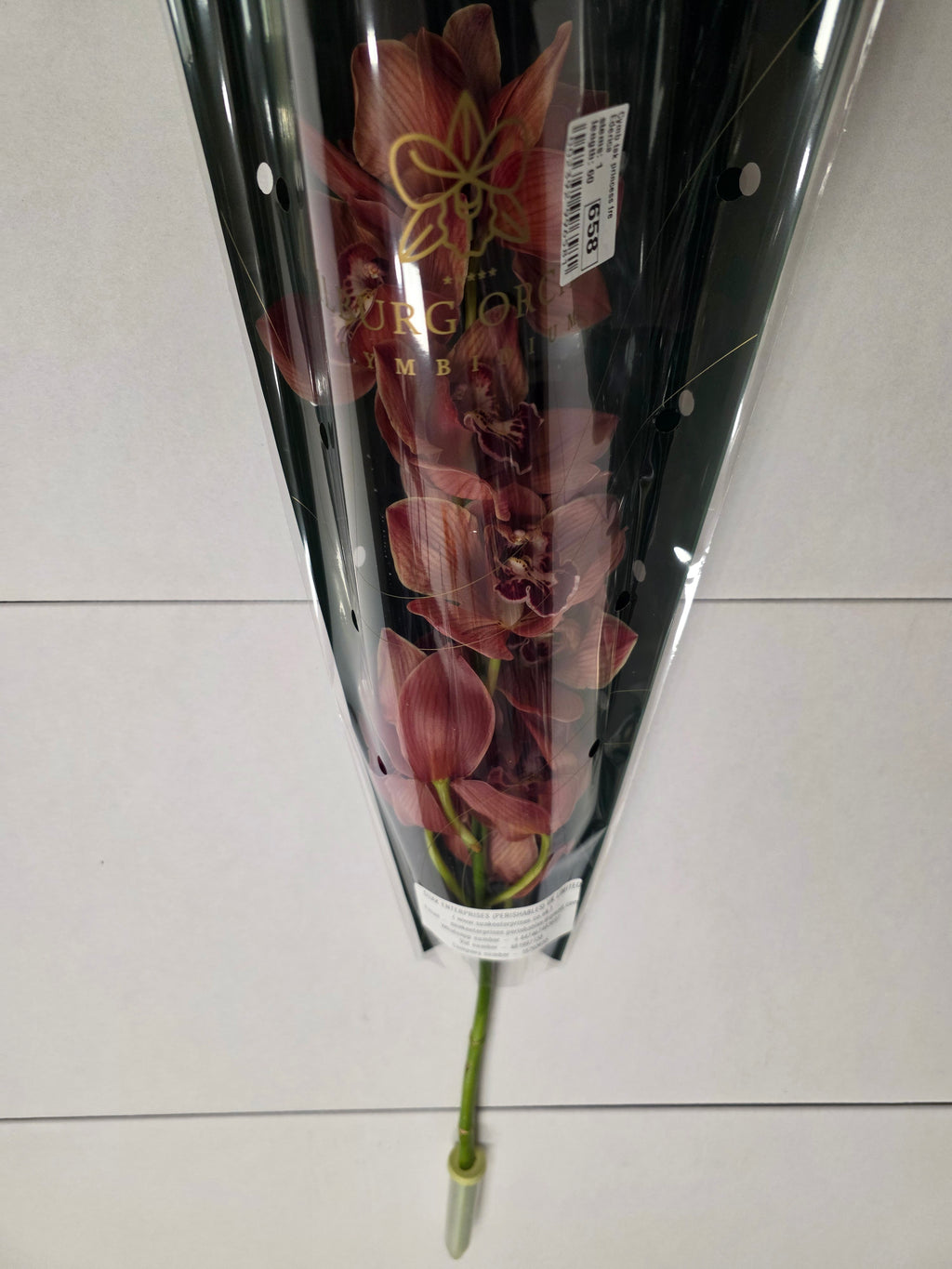 Farm Fresh Orchid/Cymbidium Tak Princess Frederica (Bunch of 1 stems, Length 60cm)