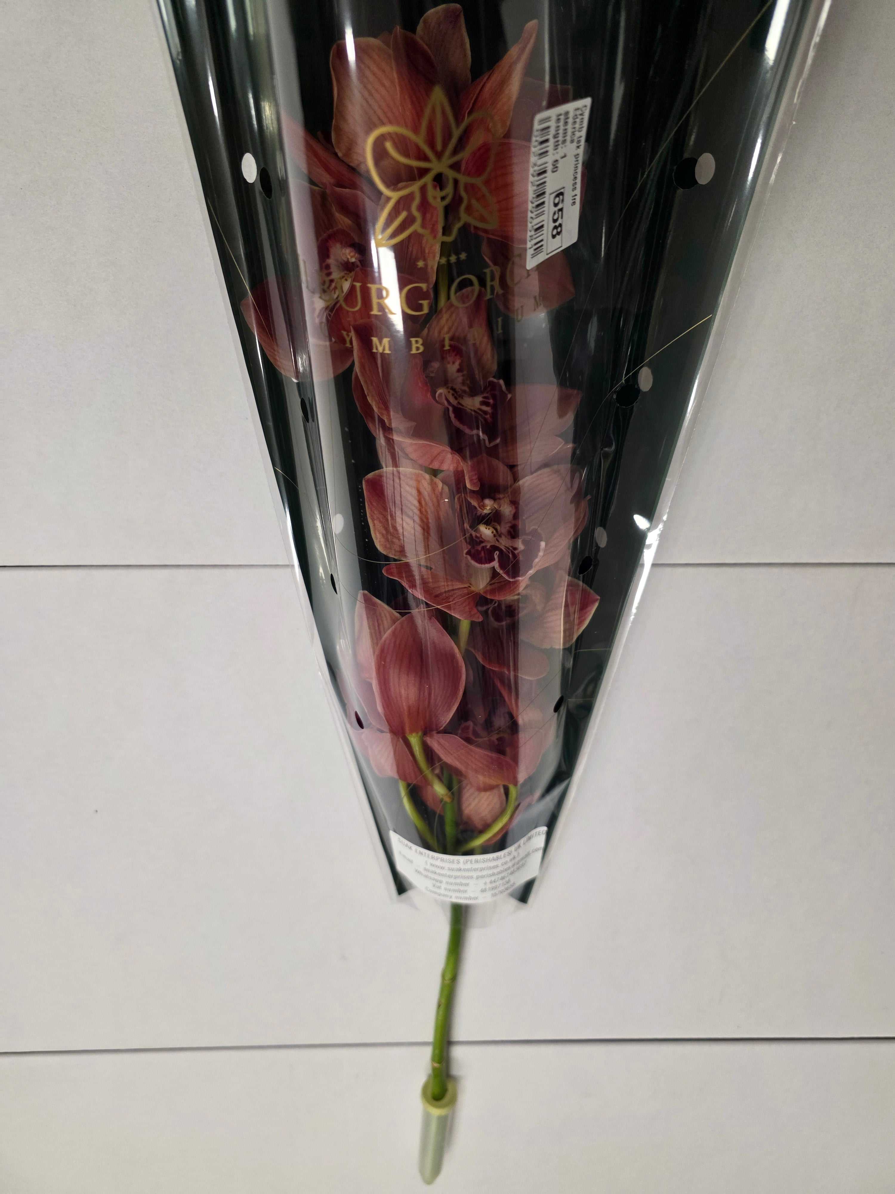 Farm Fresh Orchid/Cymbidium Tak Princess Frederica (Bunch of 1 stems, Length 60cm)
