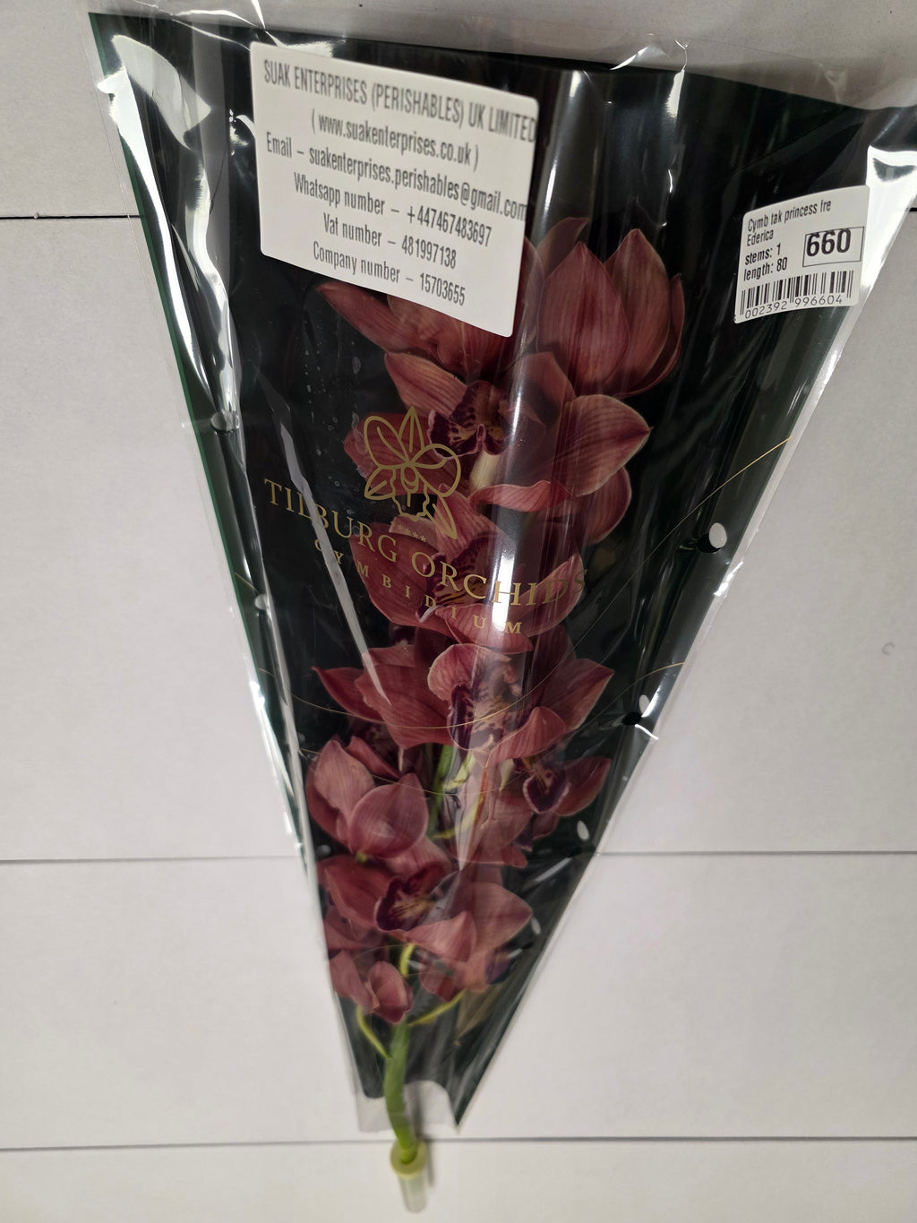 Farm Fresh Orchid/Cymbidium Tak Princess Frederica (Bunch of 1 stems, Length 80cm)