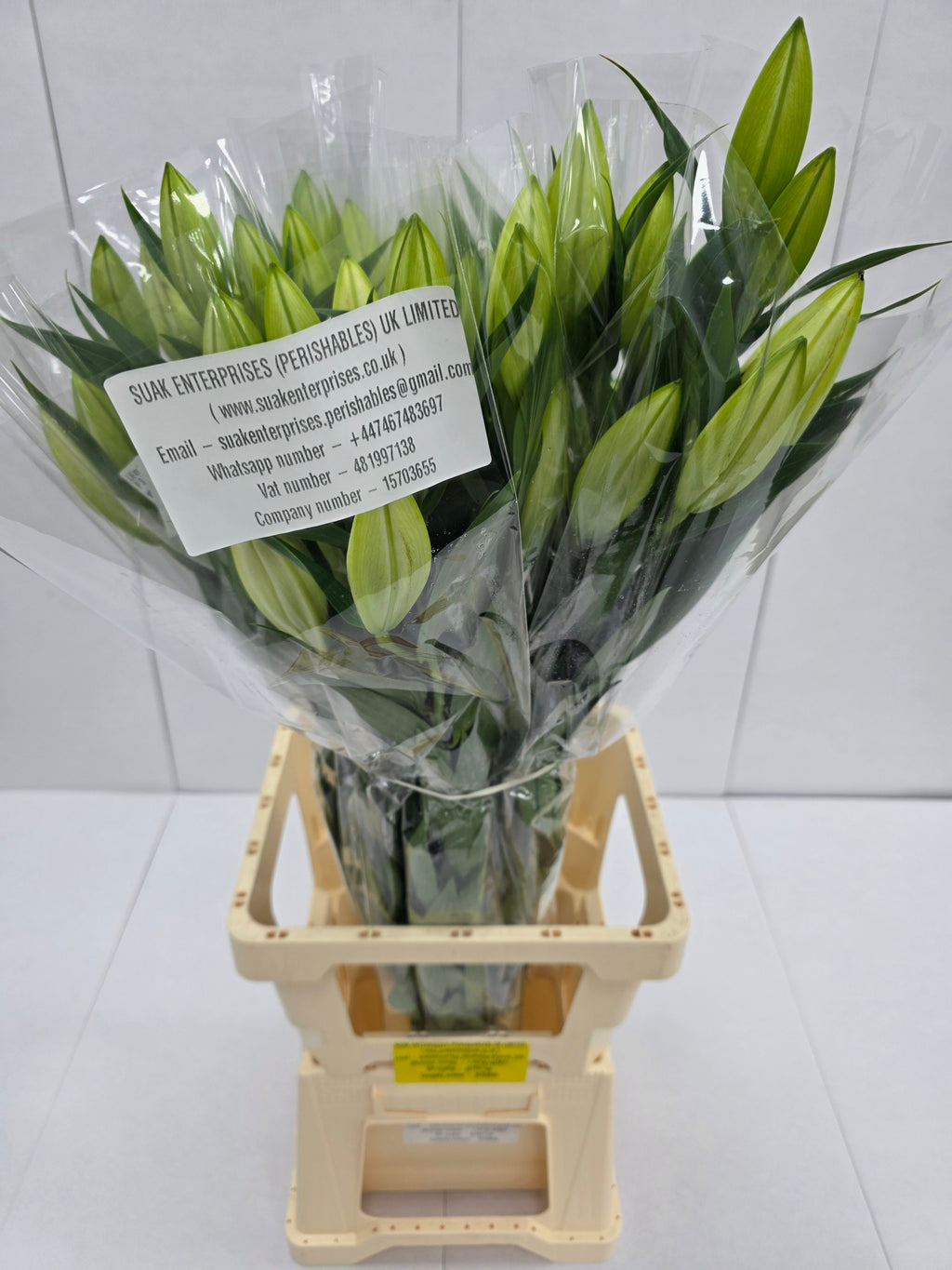 Farm Fresh Lilium Oriental Bq White Op 3(Bunch of 10stems,Length 80cm)