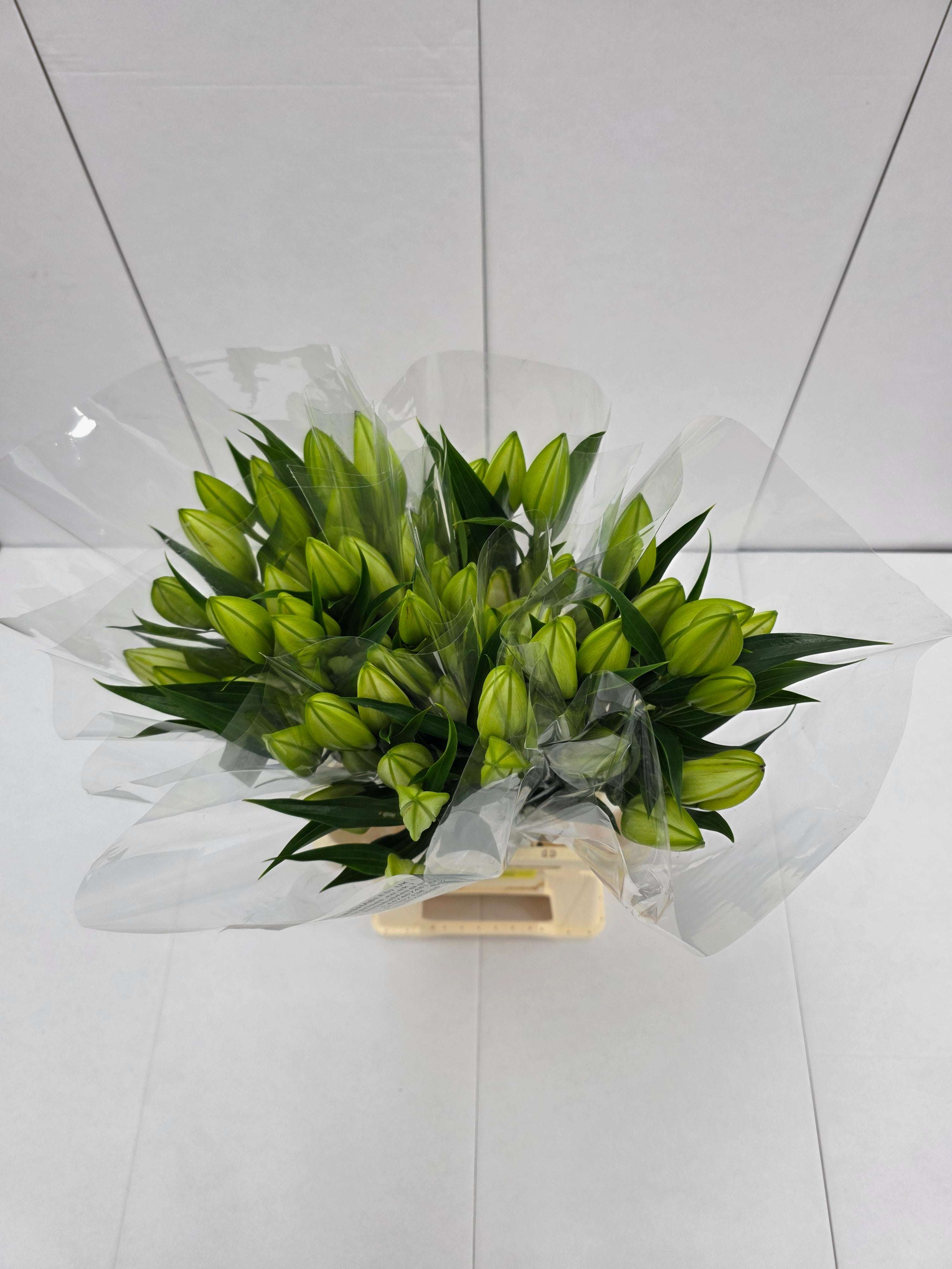 Farm Fresh Lilium Oriental Bq White Op 3(Bunch of 10stems,Length 80cm)