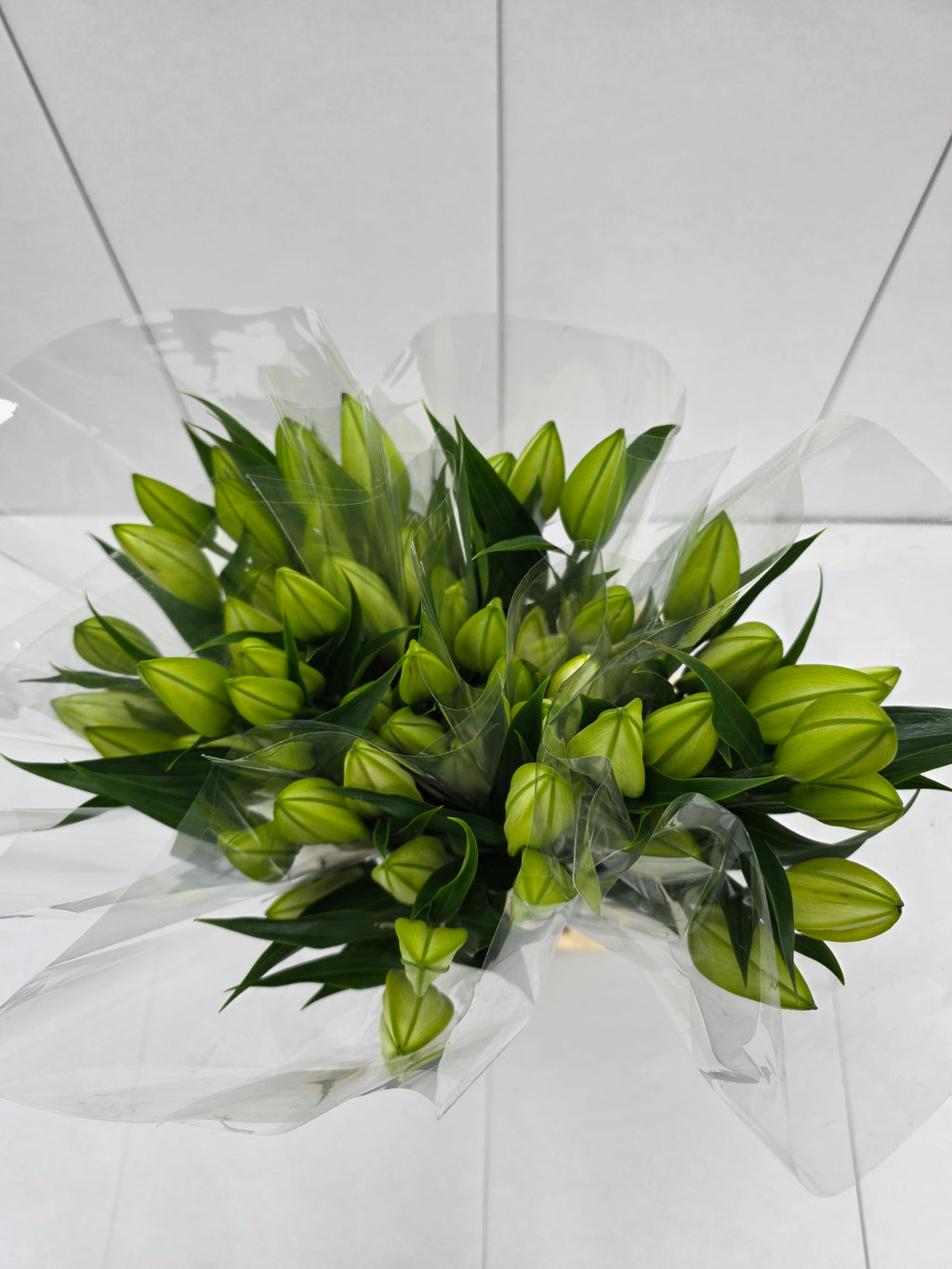 Farm Fresh Lilium Oriental Bq White Op 3(Bunch of 10stems,Length 80cm)