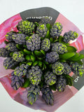 Farm Fresh Hyacinthus Orientalis Minos(Bunch of 25stems, Length 30cm)