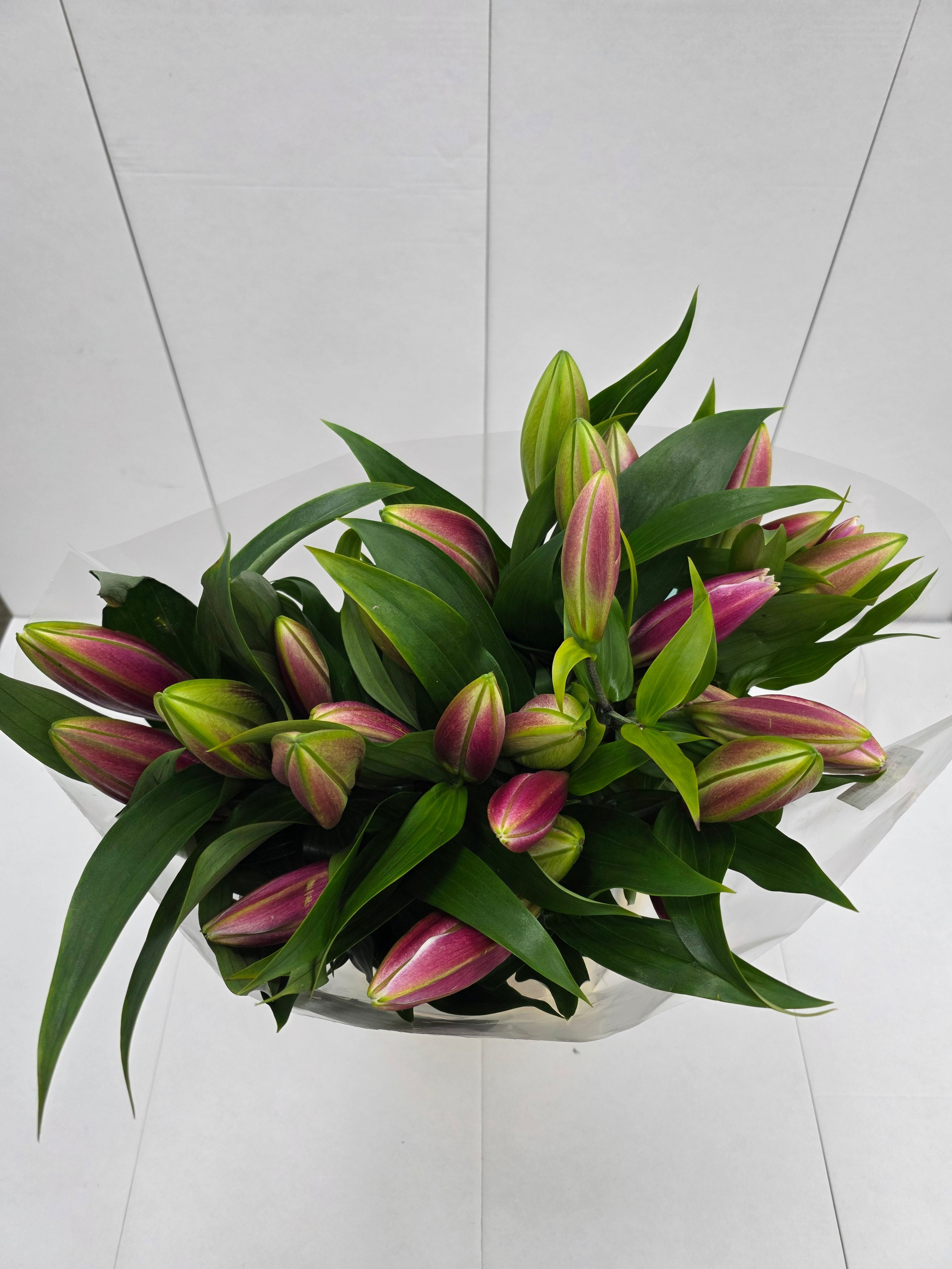 Farm Fresh Lilium Oriental Tabledance 2+(Bunch of 10stems,Length 90cm)