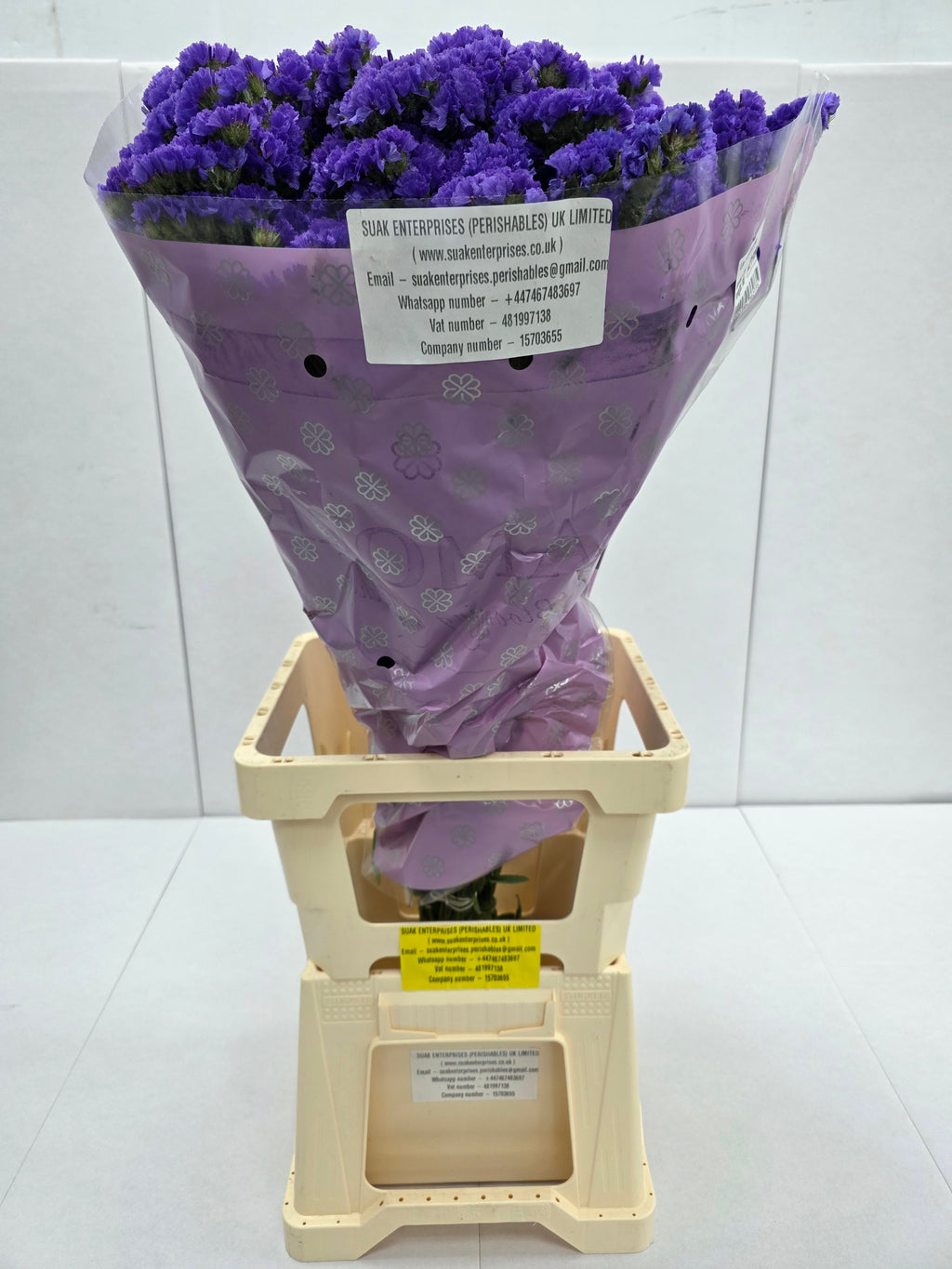 Farm Fresh Limonium Sinuatum Cry Dark Blue(Bunch of 25 stems, Length 80cm)