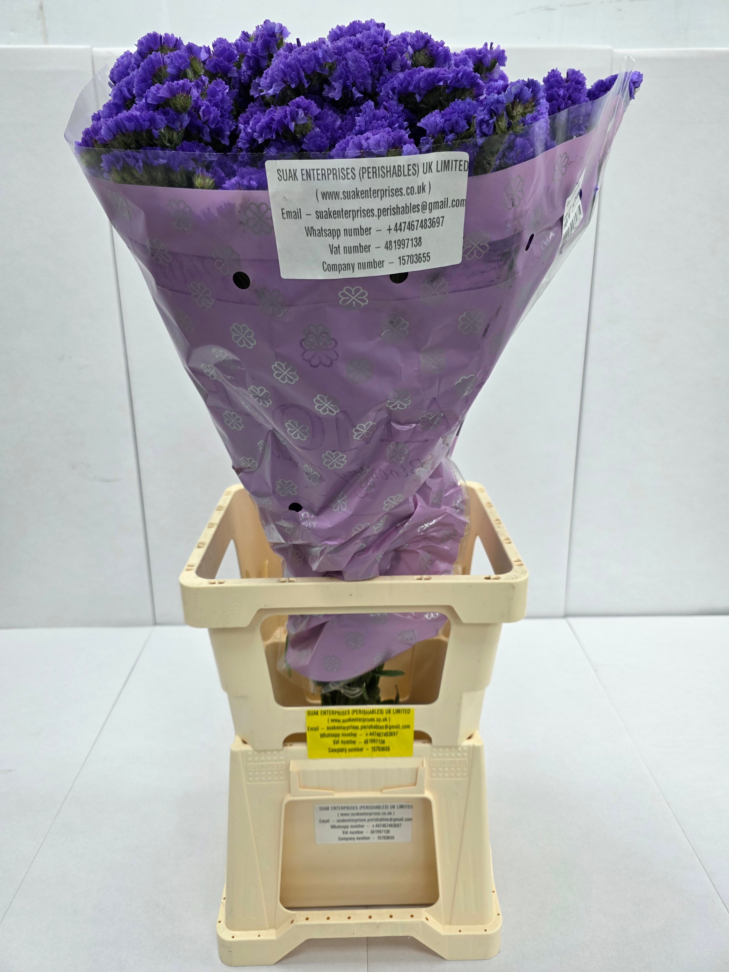 Farm Fresh Limonium Sinuatum Cry Dark Blue(Bunch of 25 stems, Length 80cm)