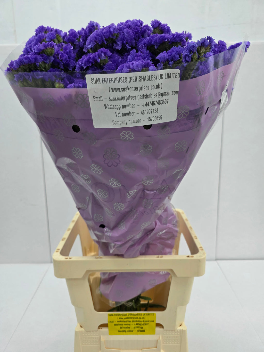 Farm Fresh Limonium Sinuatum Cry Dark Blue(Bunch of 25 stems, Length 80cm)