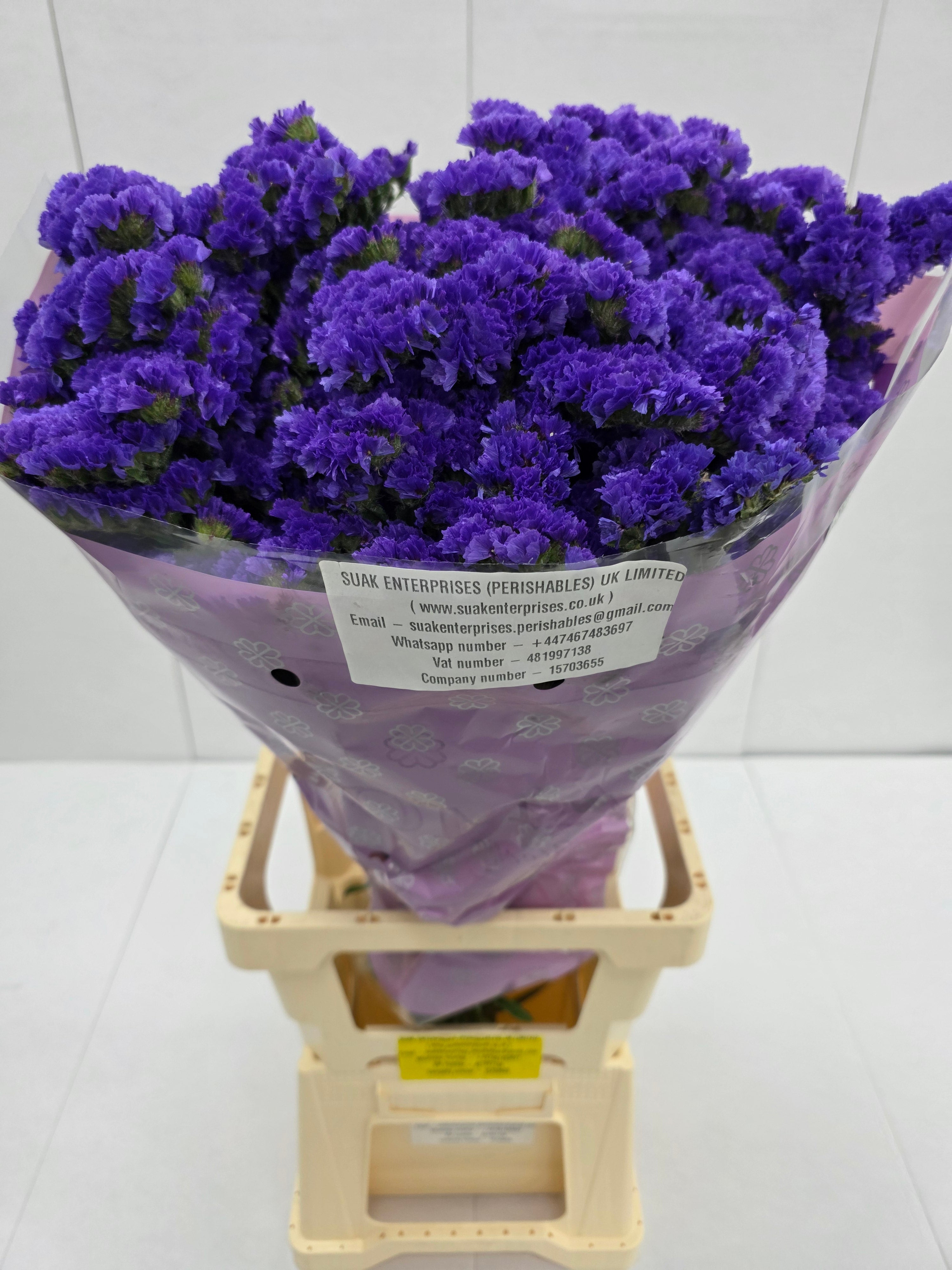 Farm Fresh Limonium Sinuatum Cry Dark Blue(Bunch of 25 stems, Length 80cm)