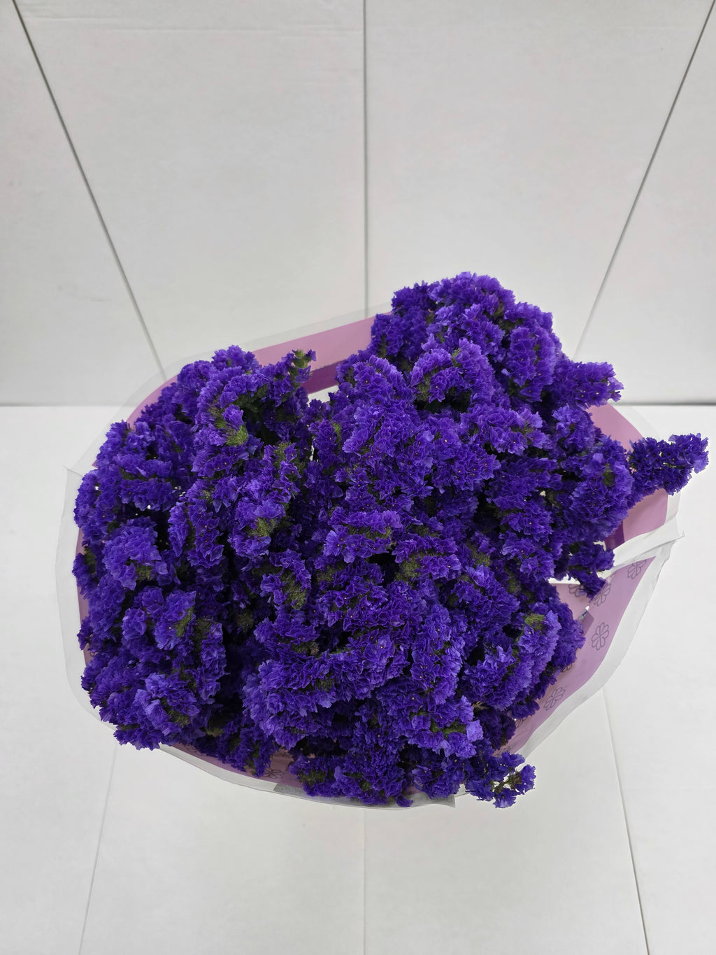 Farm Fresh Limonium Sinuatum Cry Dark Blue(Bunch of 25 stems, Length 80cm)