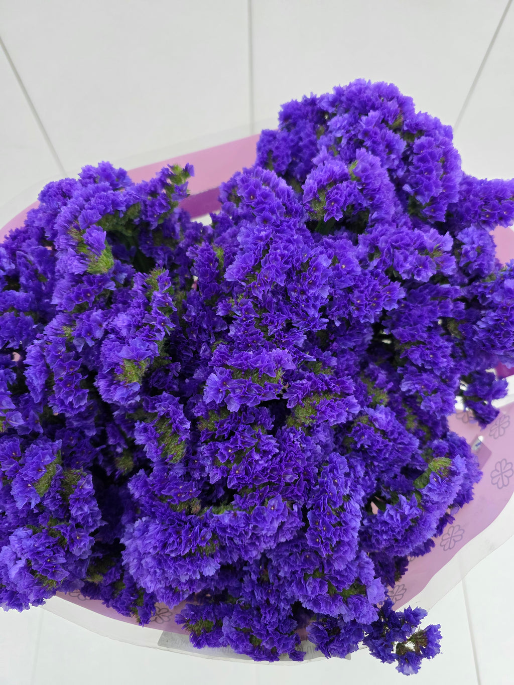 Farm Fresh Limonium Sinuatum Cry Dark Blue(Bunch of 25 stems, Length 80cm)