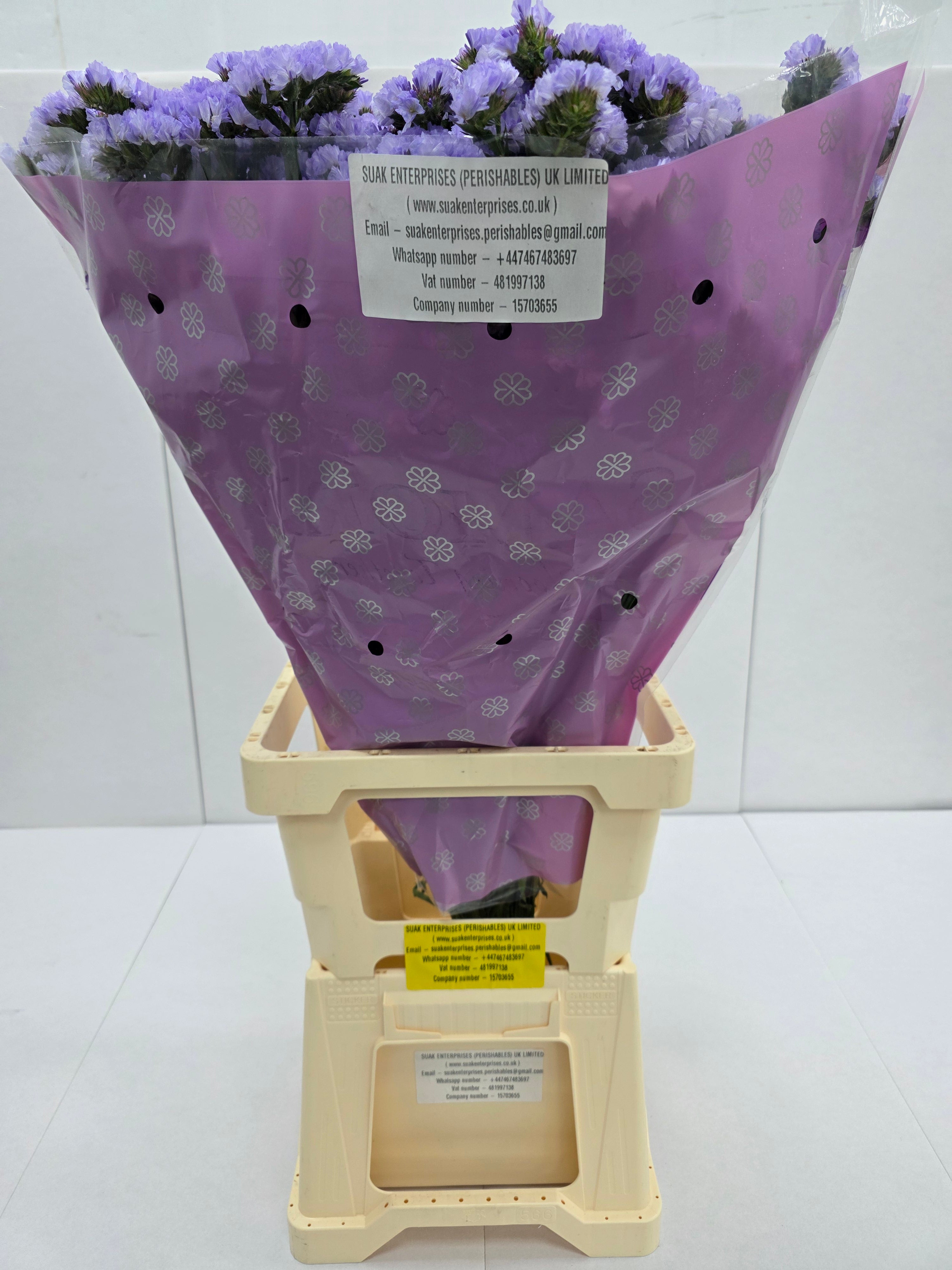 Farm Fresh Limonium Sinuatum Donau Birds(Bunch of 25 stems, Length 70cm)