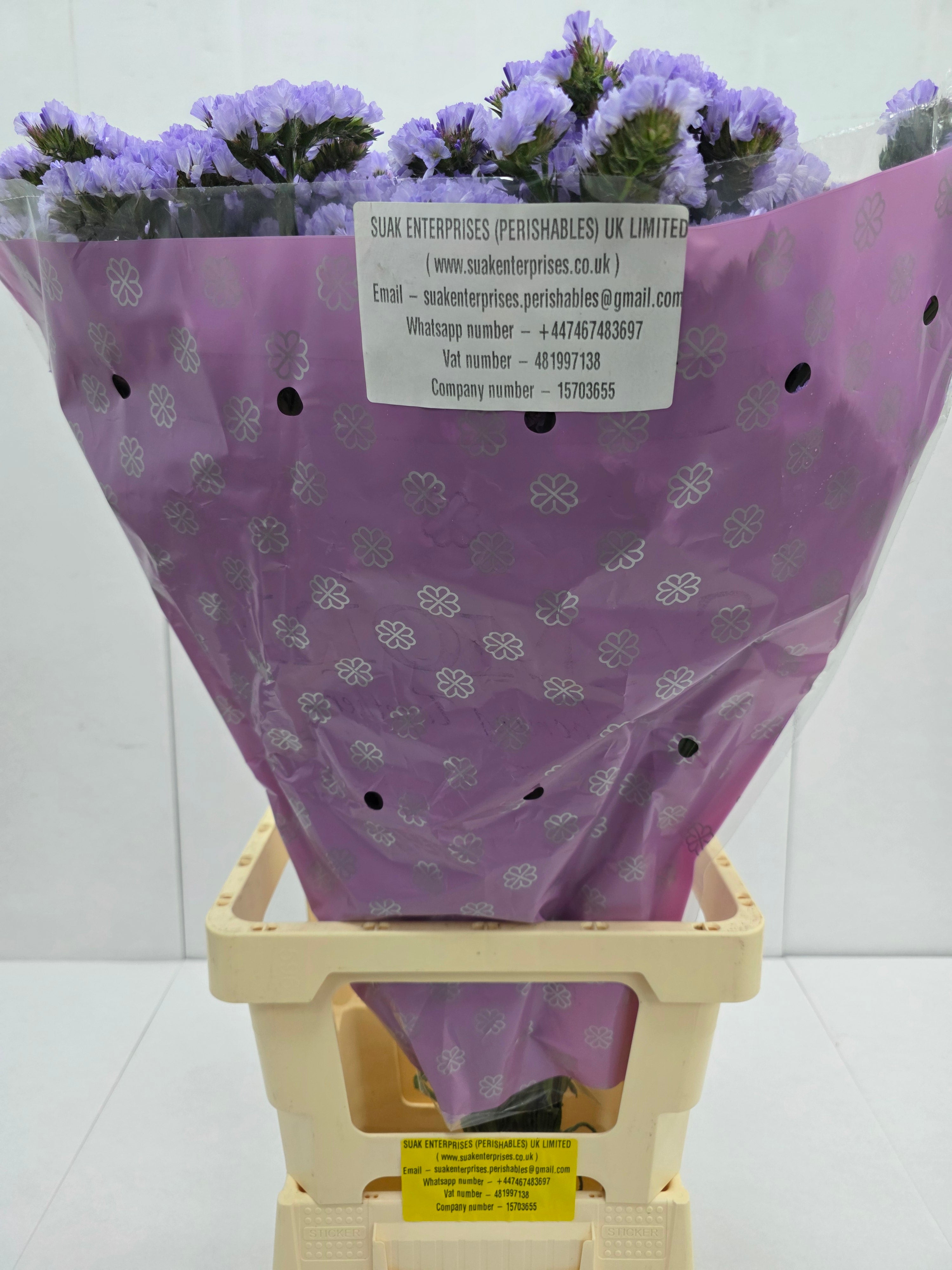 Farm Fresh Limonium Sinuatum Donau Birds(Bunch of 25 stems, Length 70cm)