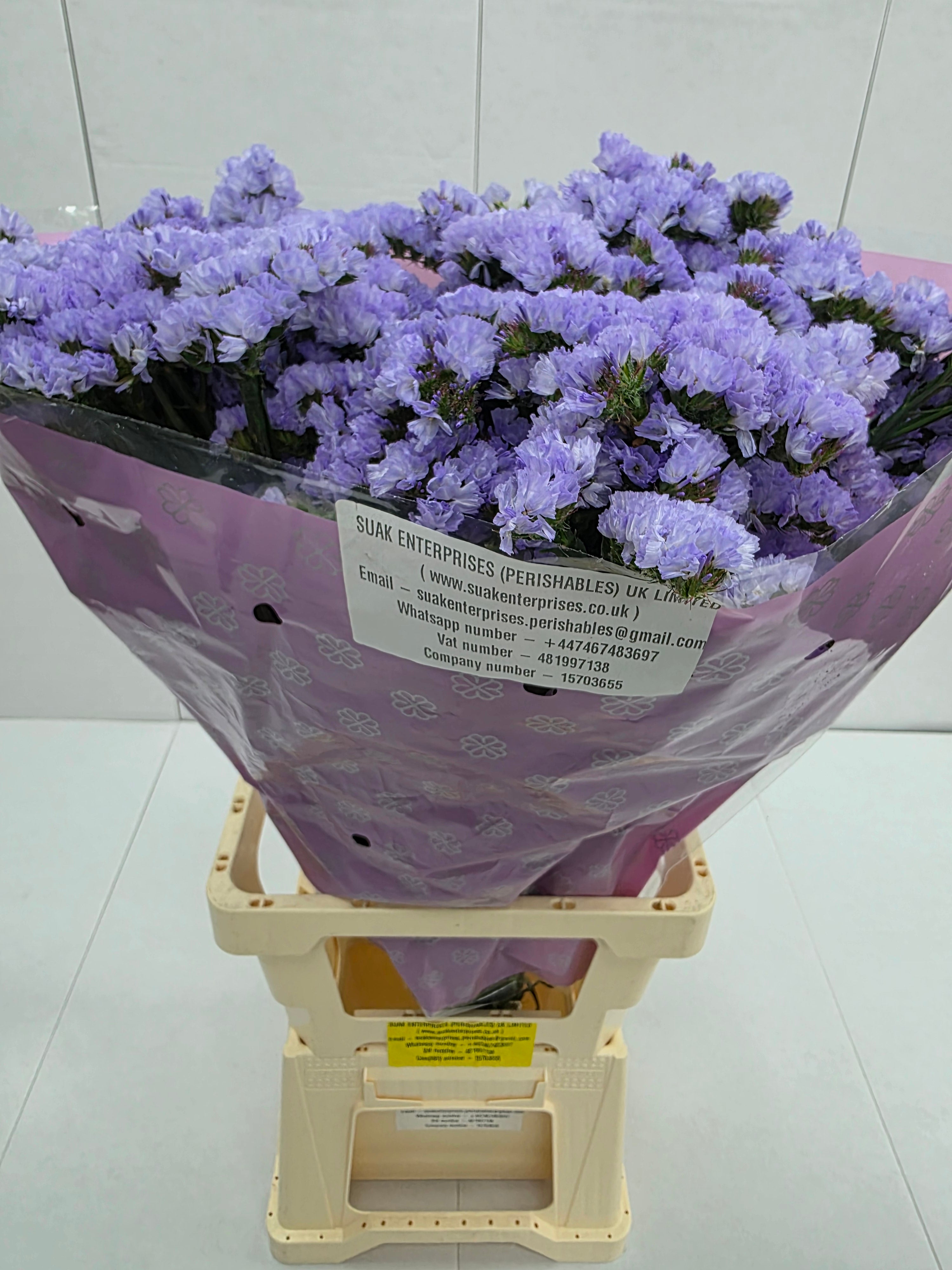 Farm Fresh Limonium Sinuatum Donau Birds(Bunch of 25 stems, Length 70cm)