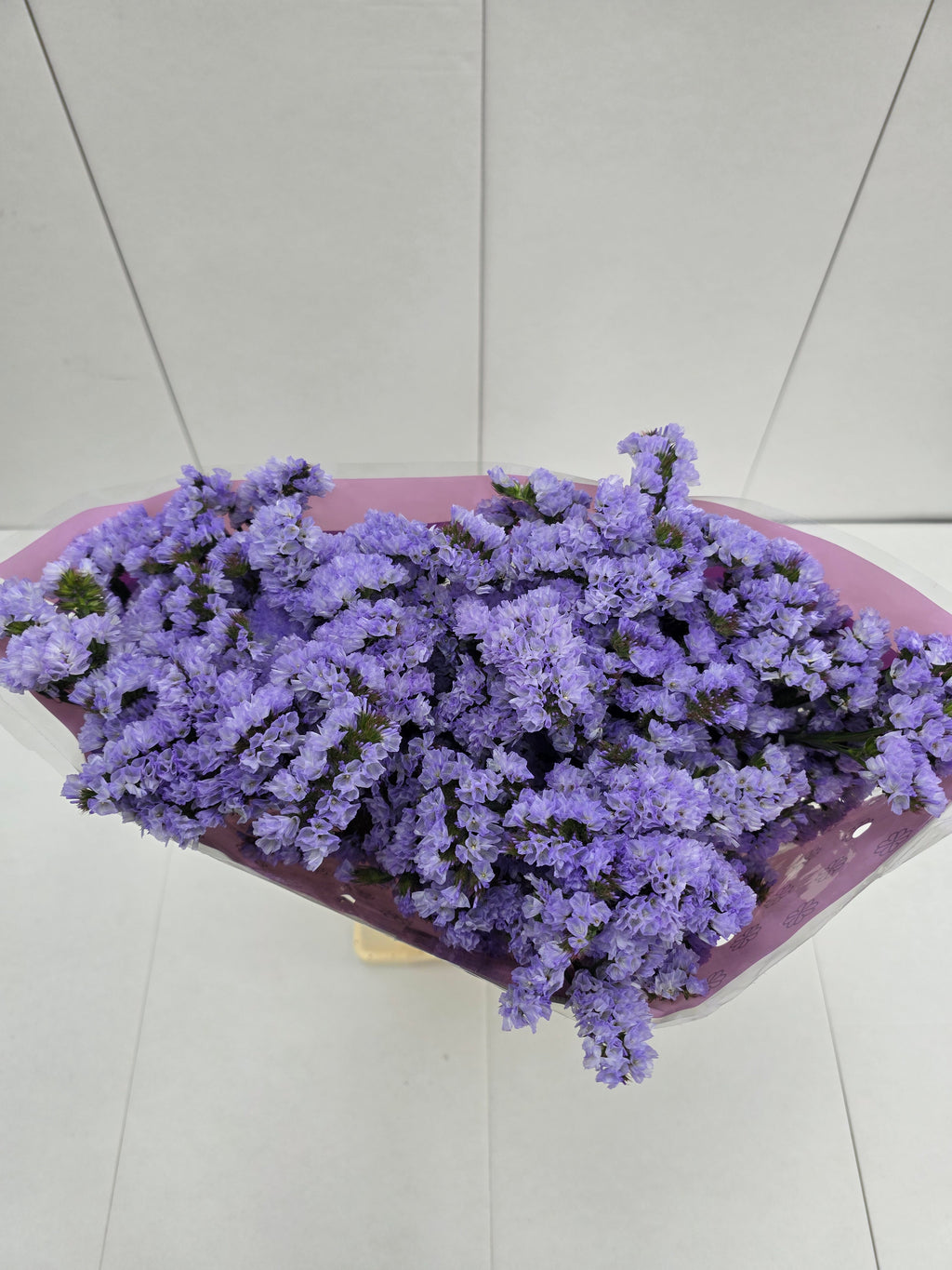 Farm Fresh Limonium Sinuatum Donau Birds(Bunch of 25 stems, Length 70cm)