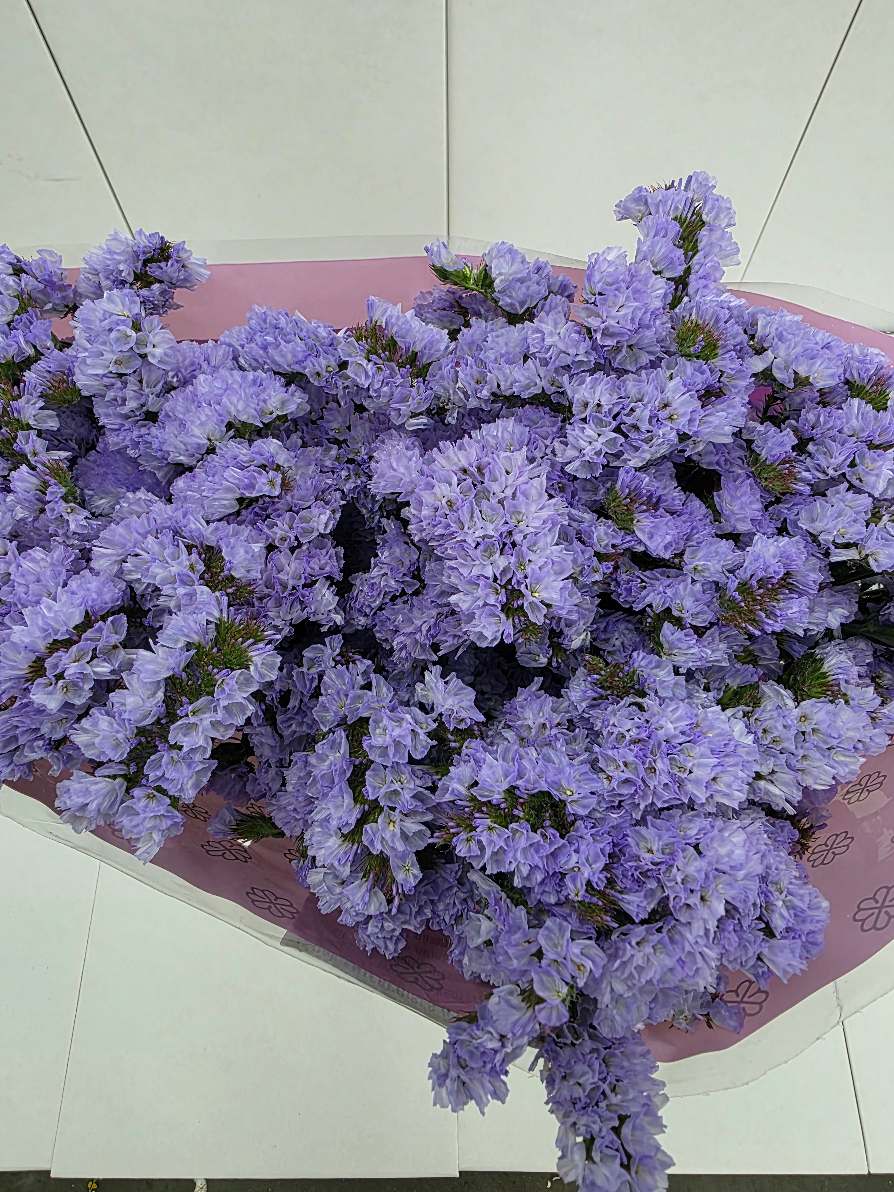 Farm Fresh Limonium Sinuatum Donau Birds(Bunch of 25 stems, Length 70cm)
