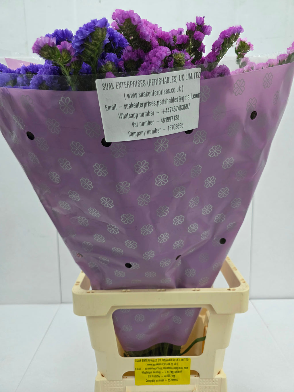 Farm Fresh Limonium Sinuatum Mixed (Bunch of 25 stems, Length 80cm)