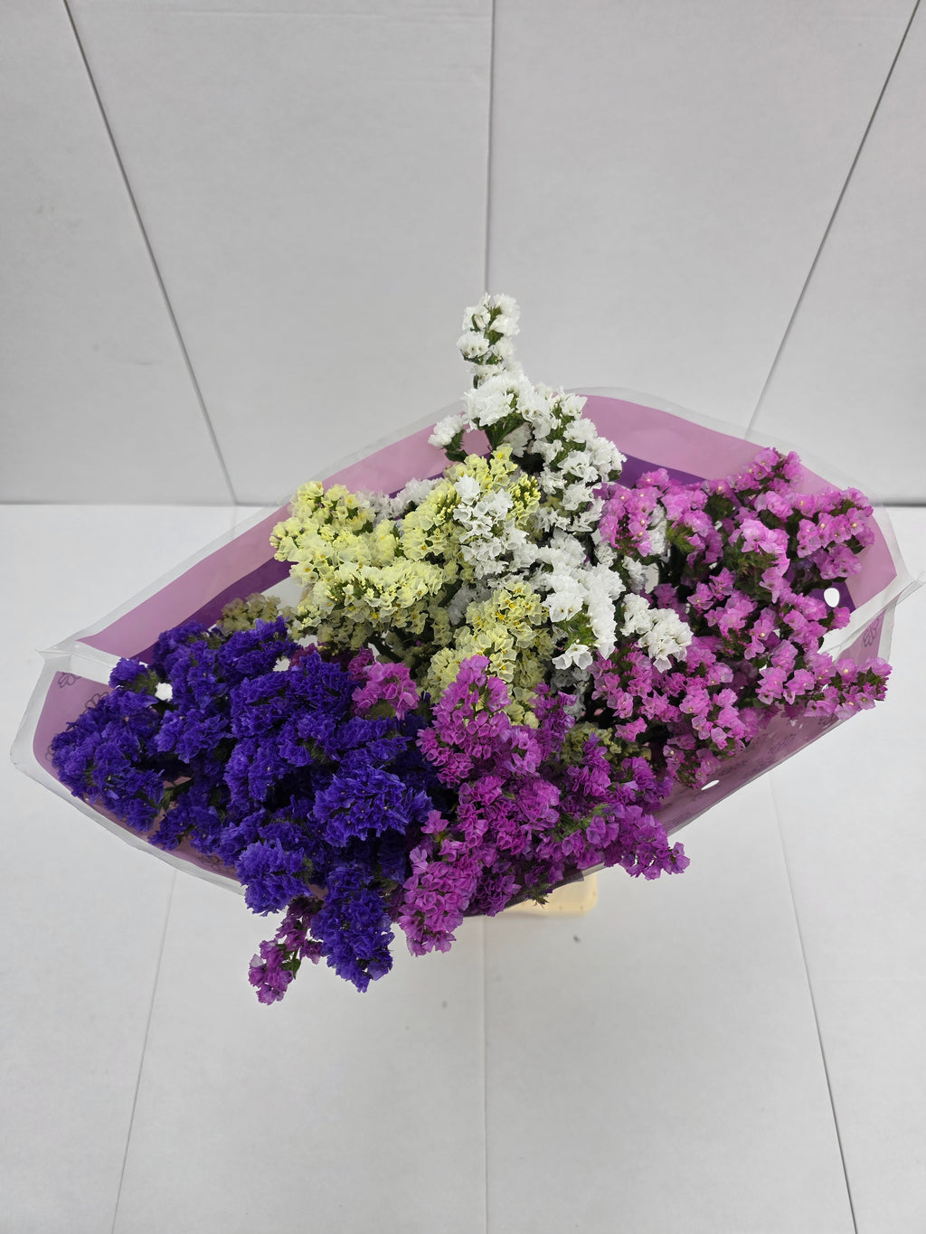 Farm Fresh Limonium Sinuatum Mixed (Bunch of 25 stems, Length 80cm)
