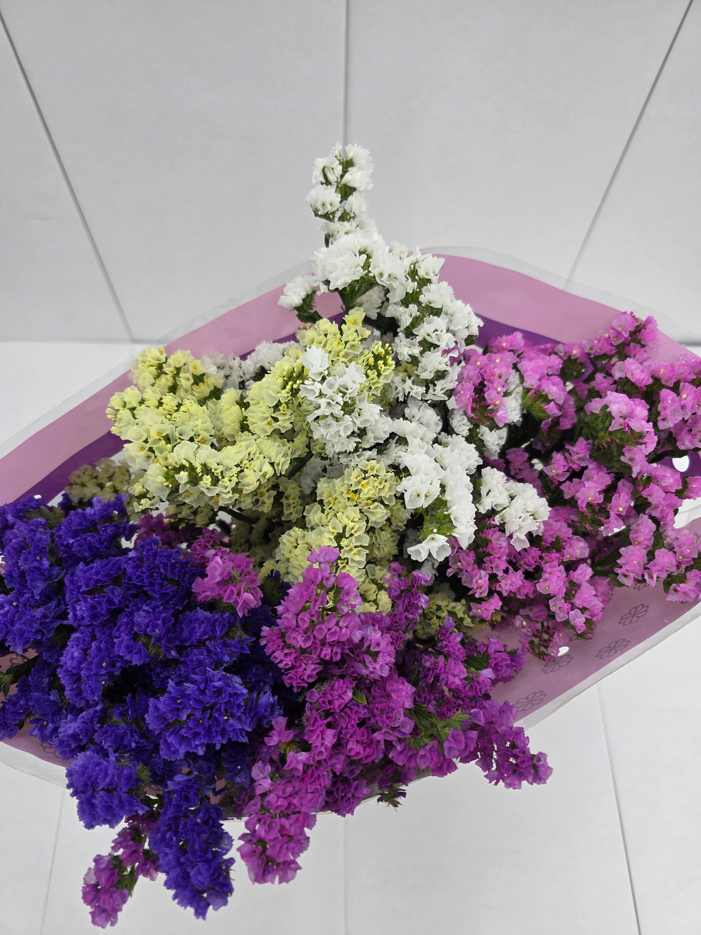 Farm Fresh Limonium Sinuatum Mixed (Bunch of 25 stems, Length 80cm)