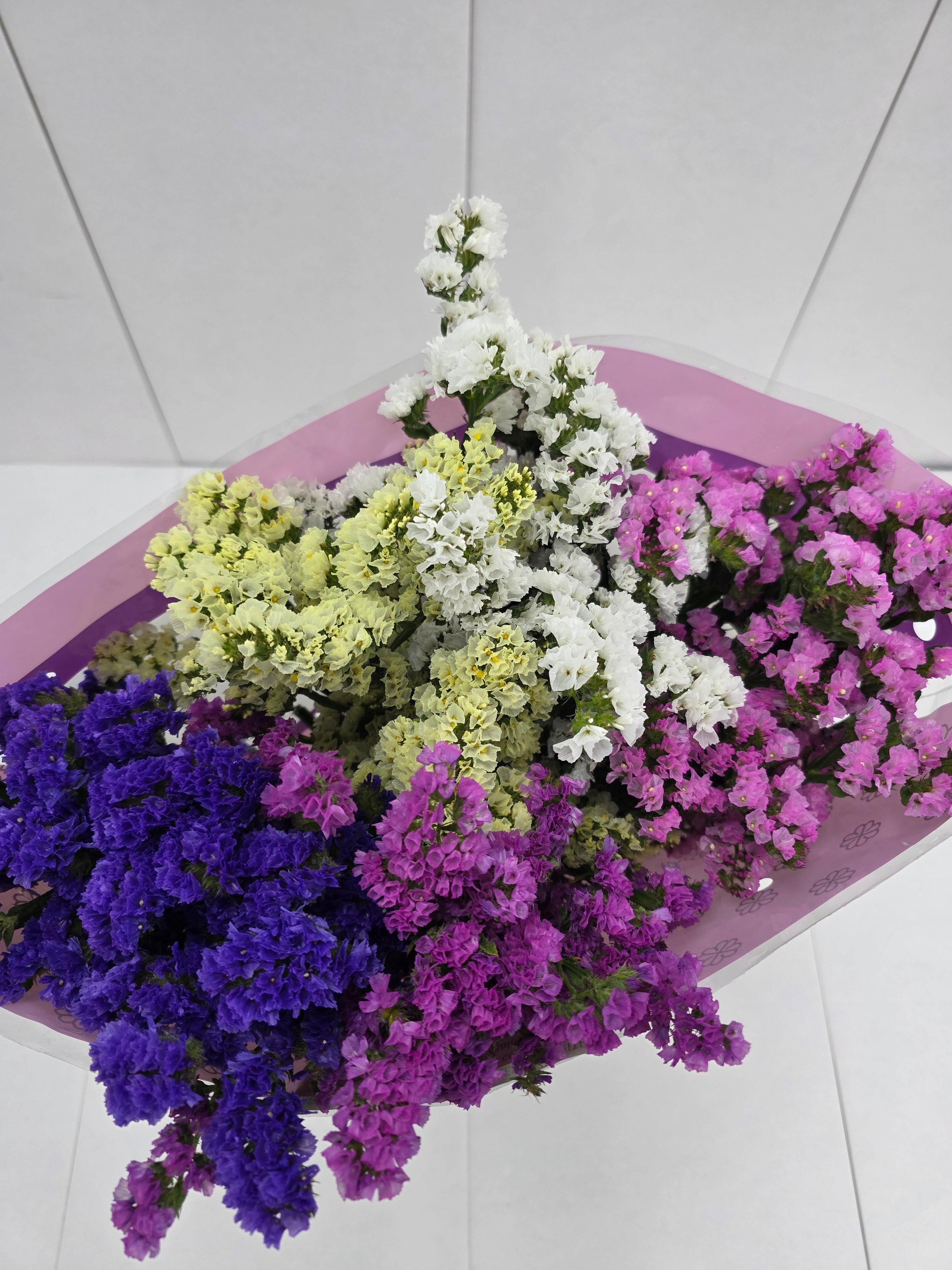 Farm Fresh Limonium Sinuatum Mixed (Bunch of 25 stems, Length 80cm)