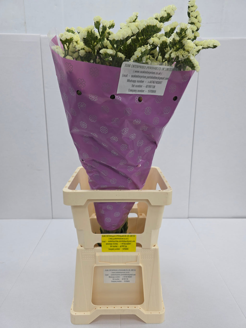 Farm Fresh Limonium Yellow Birds (Bunch of 25stems, Length 80cm)