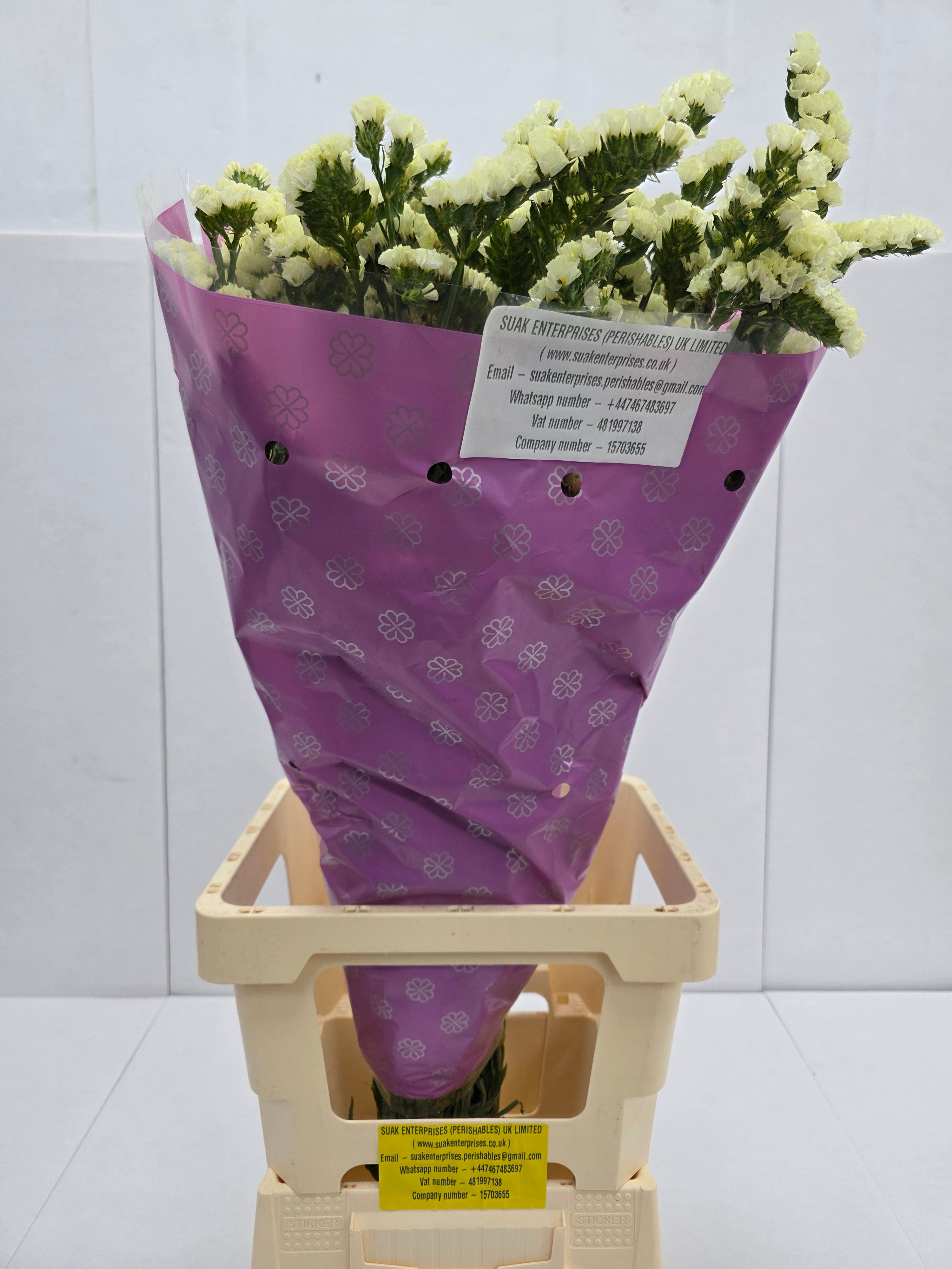 Farm Fresh Limonium Yellow Birds (Bunch of 25stems, Length 80cm)