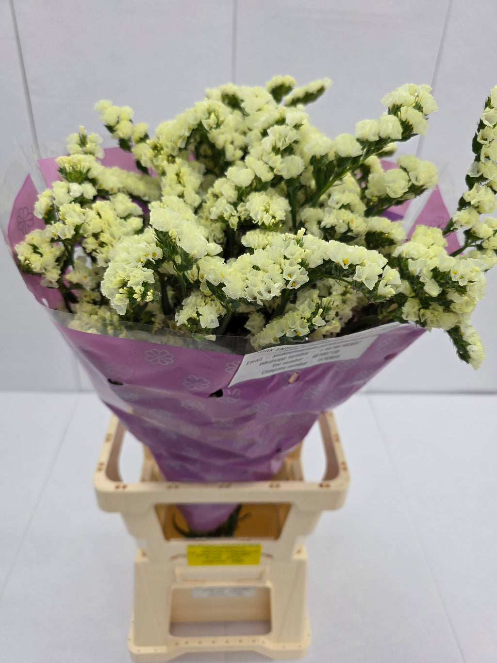 Farm Fresh Limonium Yellow Birds (Bunch of 25stems, Length 80cm)