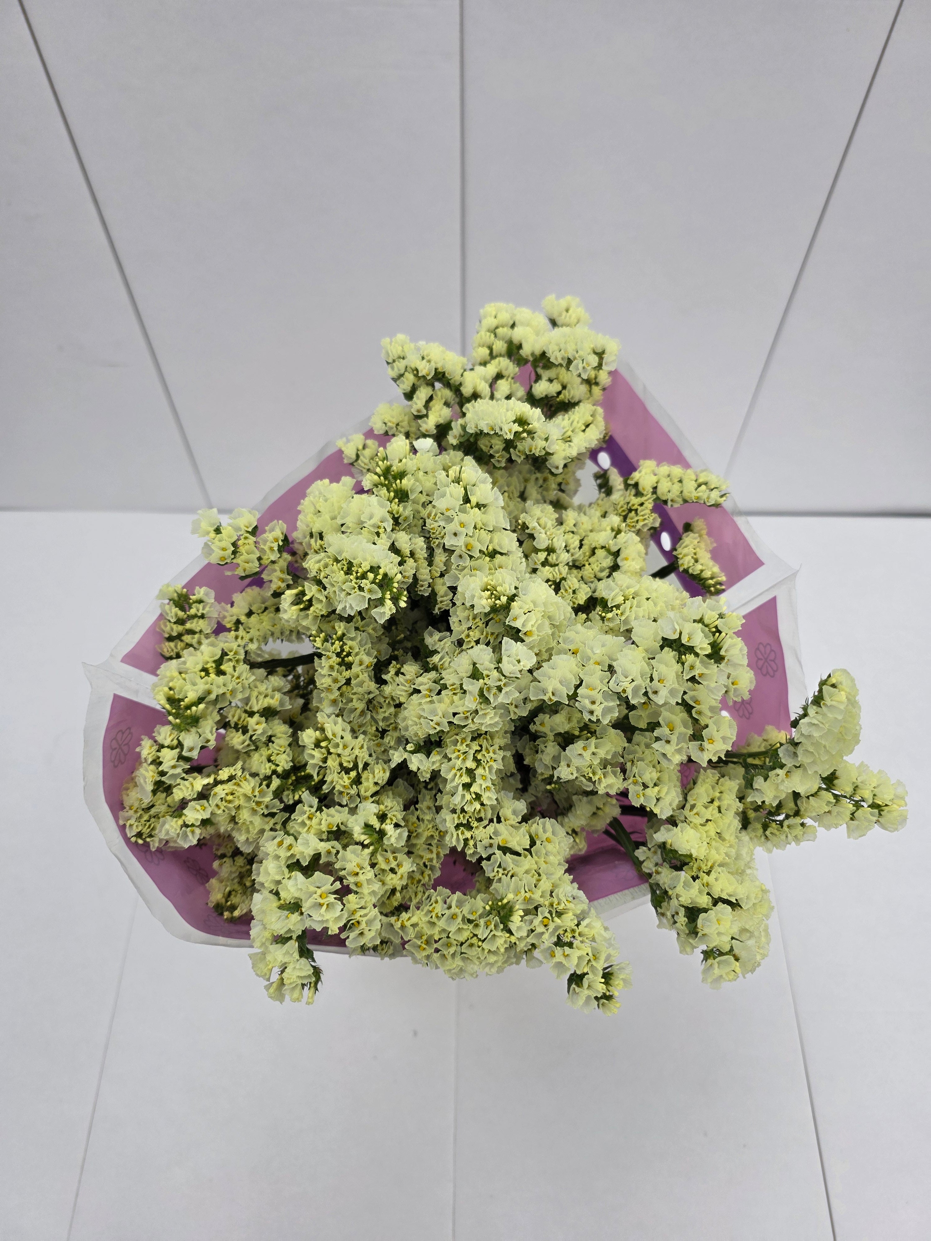 Farm Fresh Limonium Yellow Birds (Bunch of 25stems, Length 80cm)