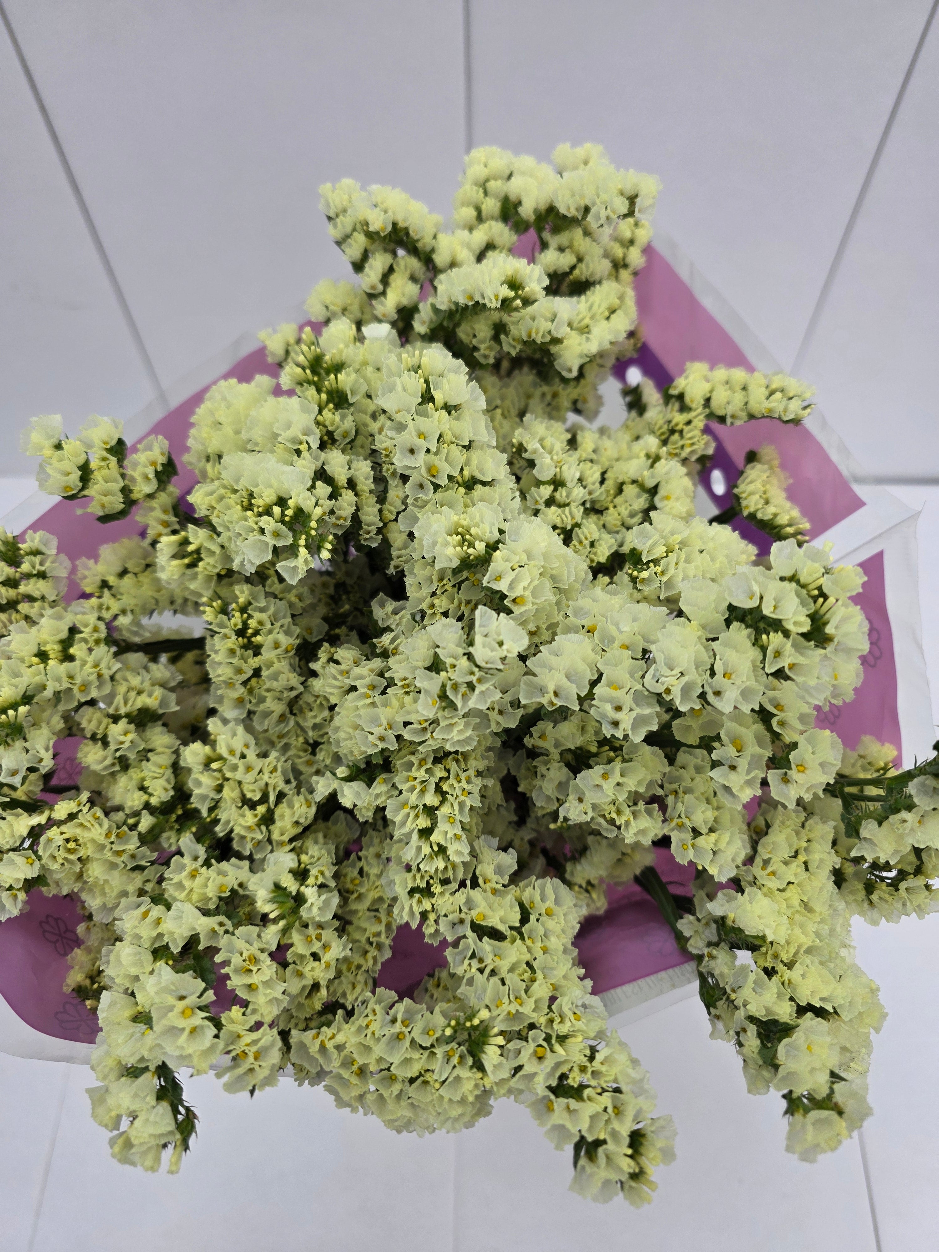 Farm Fresh Limonium Yellow Birds (Bunch of 25stems, Length 80cm)