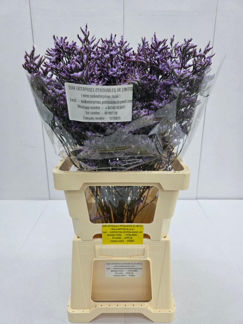Farm Fresh Limonium Saf Lilac(Bunch of 25stems, Length 80cm)