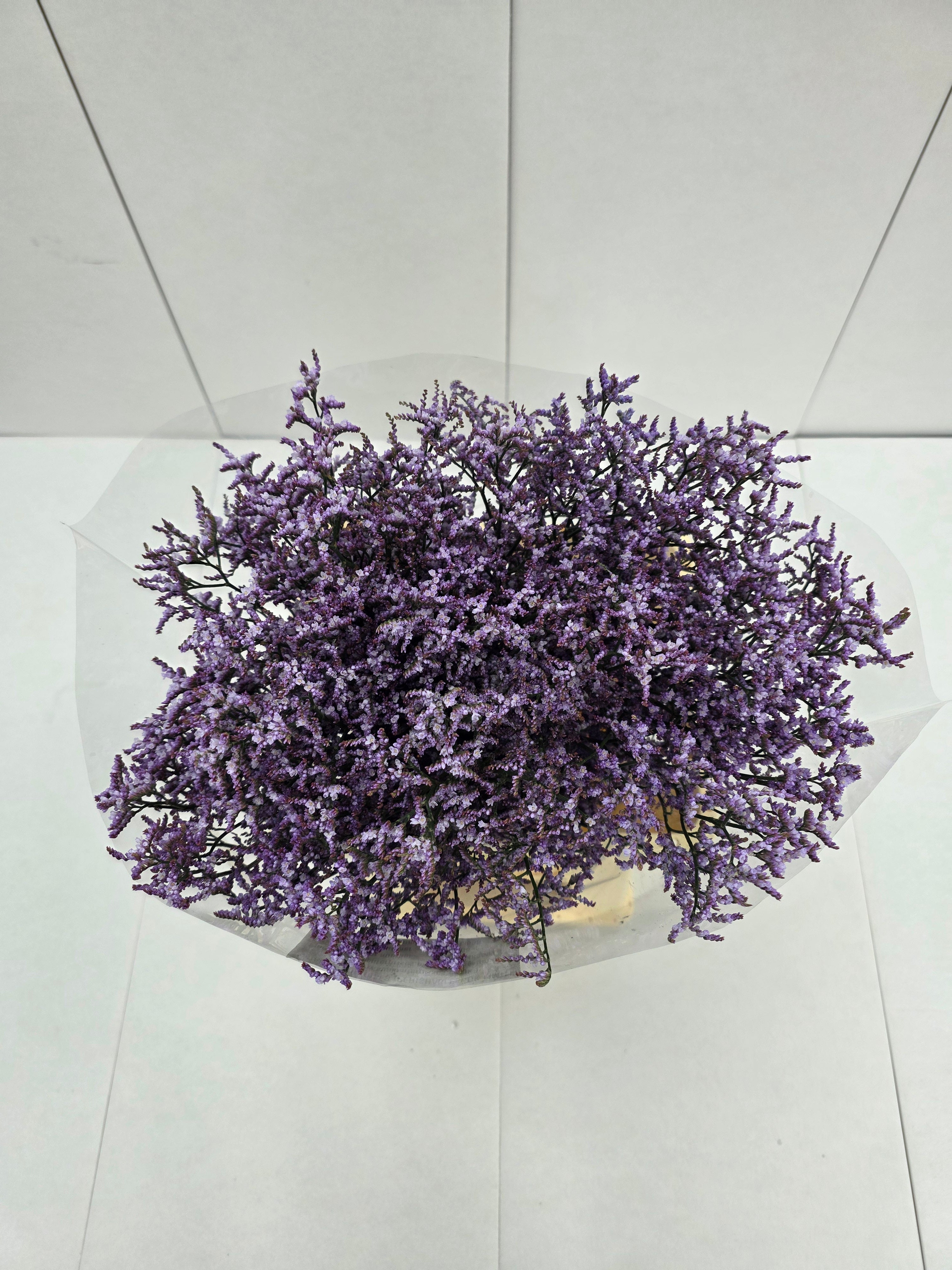 Farm Fresh Limonium Saf Lilac(Bunch of 25stems, Length 80cm)