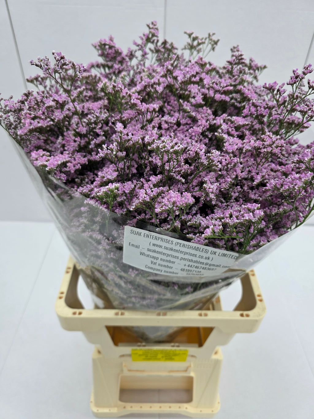 Farm Fresh Limonium Saf Oshi Pink(Bunch of 25stems, Length 70cm)