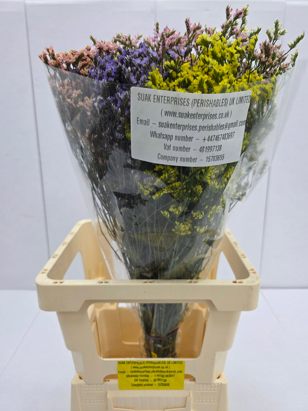 Farm Fresh Limonium Sinuatum China Mixed (Bunch of 25 stems, Length 70cm)