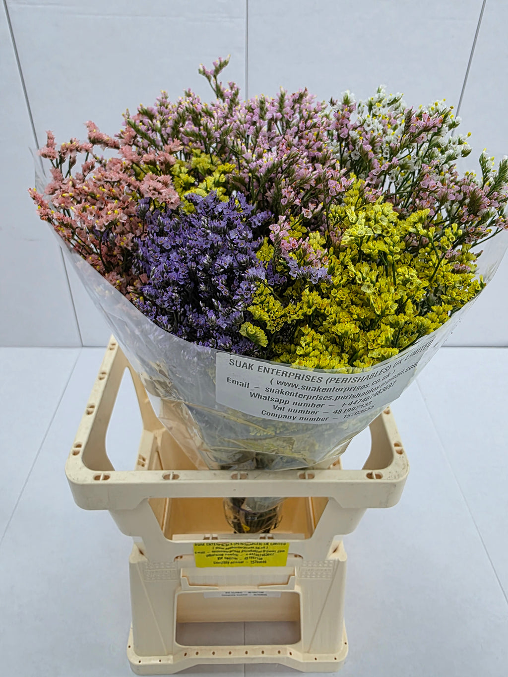 Farm Fresh Limonium Sinuatum China Mixed (Bunch of 25 stems, Length 70cm)