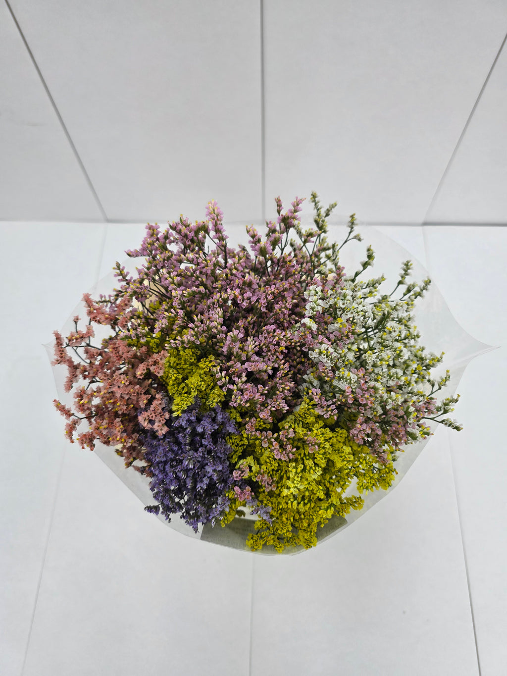 Farm Fresh Limonium Sinuatum China Mixed (Bunch of 25 stems, Length 70cm)
