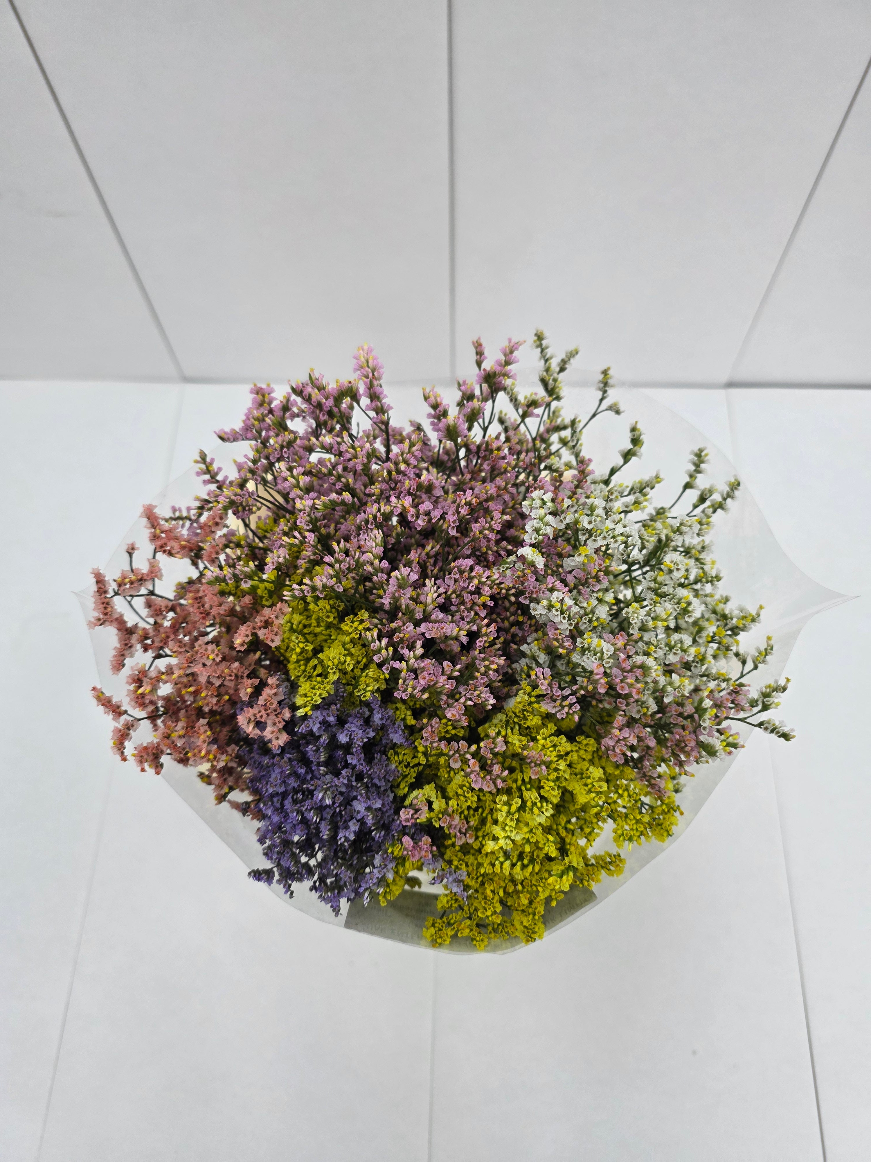 Farm Fresh Limonium Sinuatum China Mixed (Bunch of 25 stems, Length 70cm)